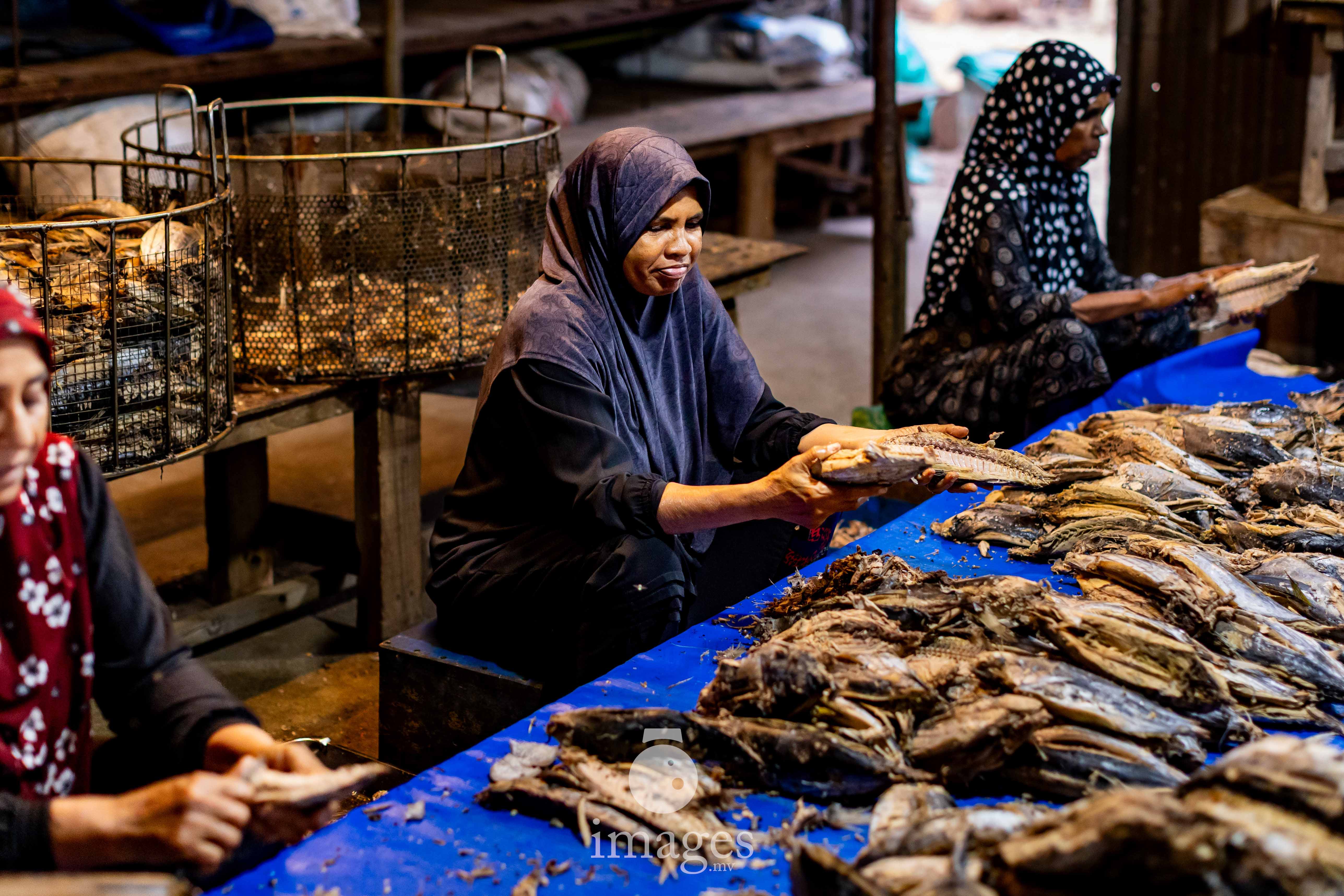A woman lifts a freshly prepared slab, inspecting its texture before placing it with hundreds of others that will soon become part of Dhiggaru’s stored harvest.