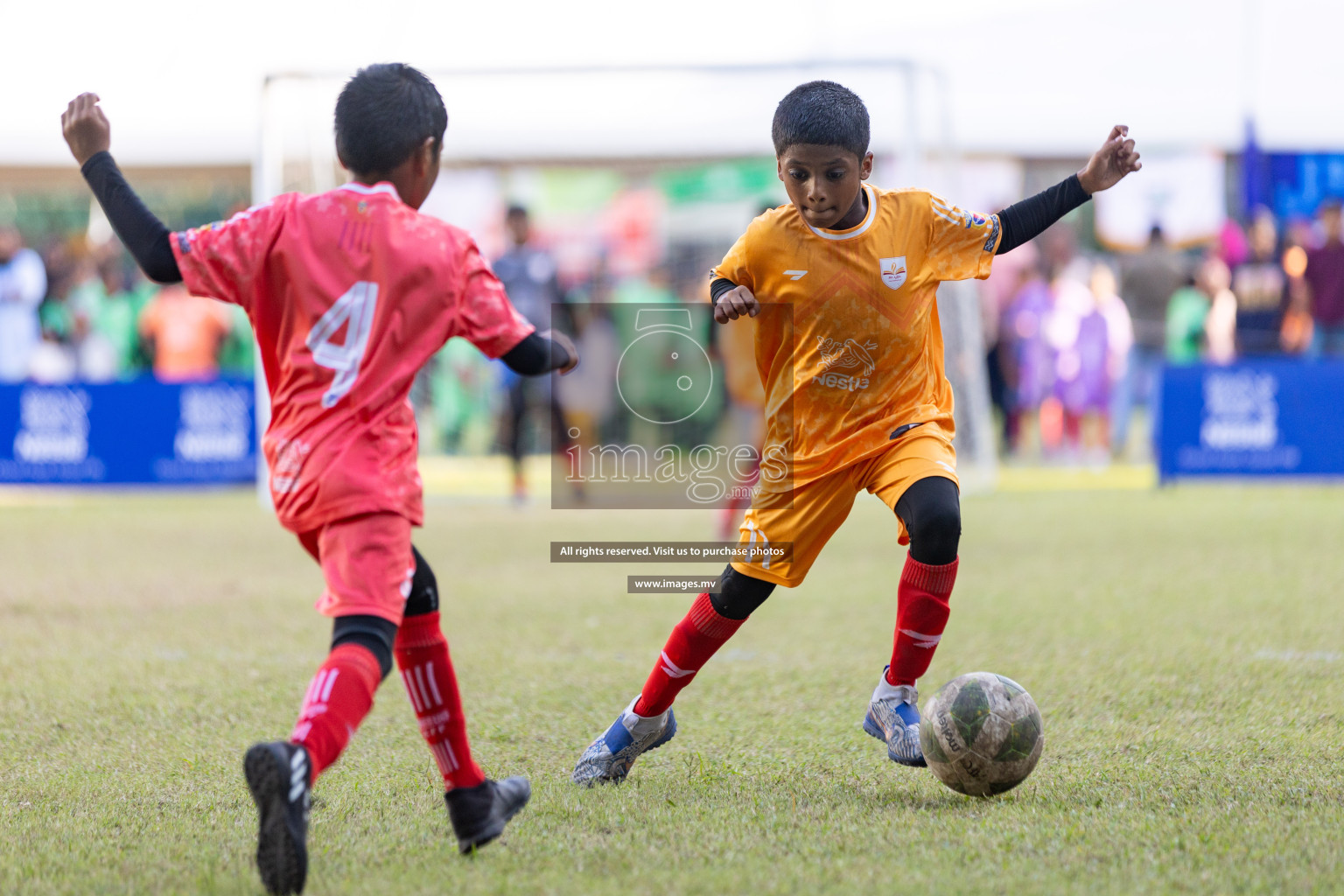 Nestle Kids Football Fiesta 2023 - Day 4
Day 4 of Nestle Kids Football Fiesta, held in Henveyru Football Stadium, Male', Maldives on Saturday, 14th October 2023 Photos: Nausham Waheed / images.mv