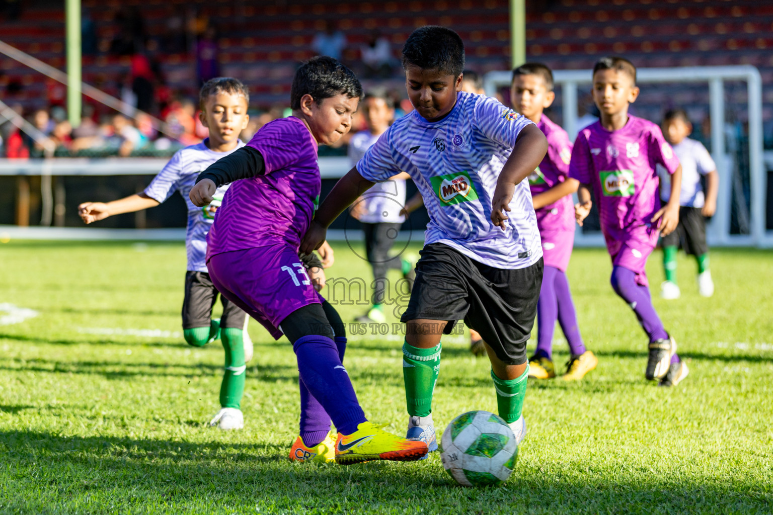 Day 1 of MILO Kids Football Fiesta was held at National Stadium in Male', Maldives on Friday, 23rd February 2024. 
Photos: Hassan Simah / images.mv