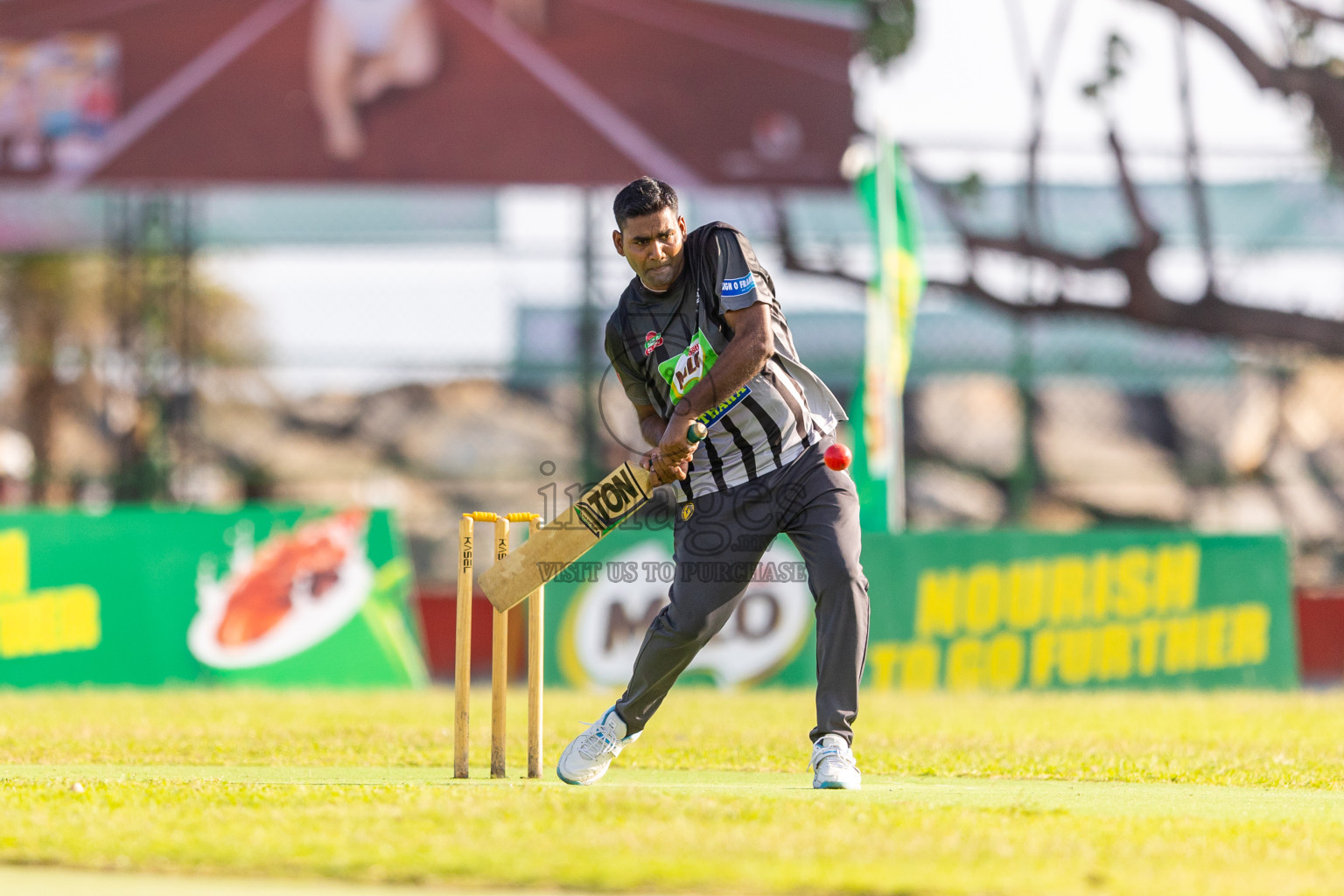 Final of Ramadan Cricket Carnival (Company Tournament) was held at Ekuveni Grounds on Tuesday, 9th April 2024.
Photos: Ismail Thoriq / images.mv