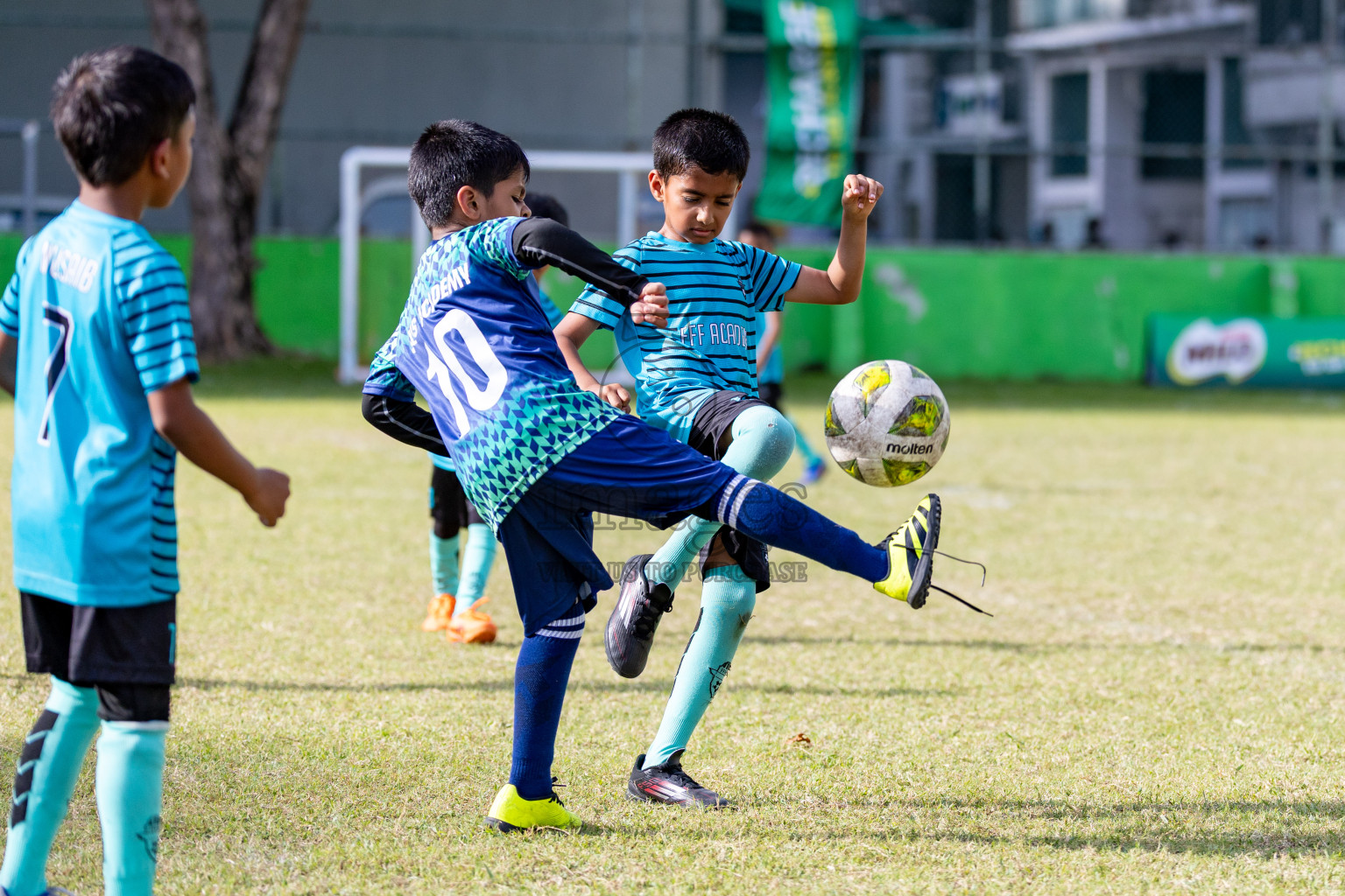 Day 2 of MILO SVAM Juniors 2025 (U-8) was held at Henveiru Stadium in Male', Maldives on Friday, 27th June 2025. 

Photos: Hassan Simah / images.mv