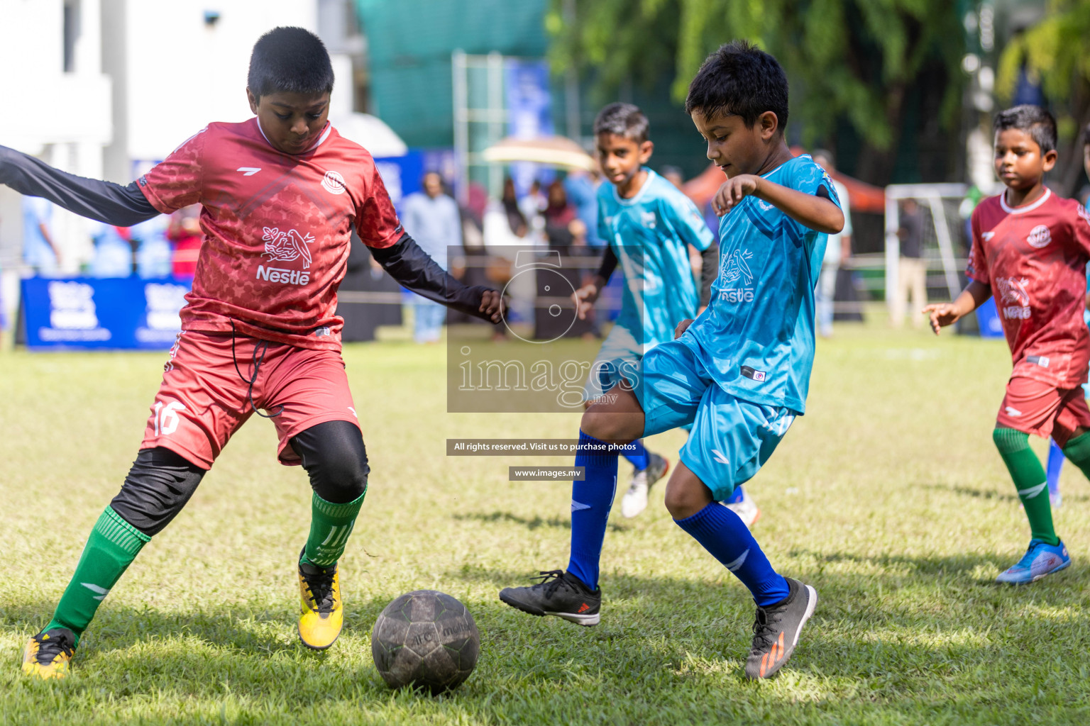 Day 3 of Nestle Kids Football Fiesta, held in Henveyru Football Stadium, Male', Maldives on Friday, 13th October 2023
Photos: Hassan Simah, Ismail Thoriq / images.mv