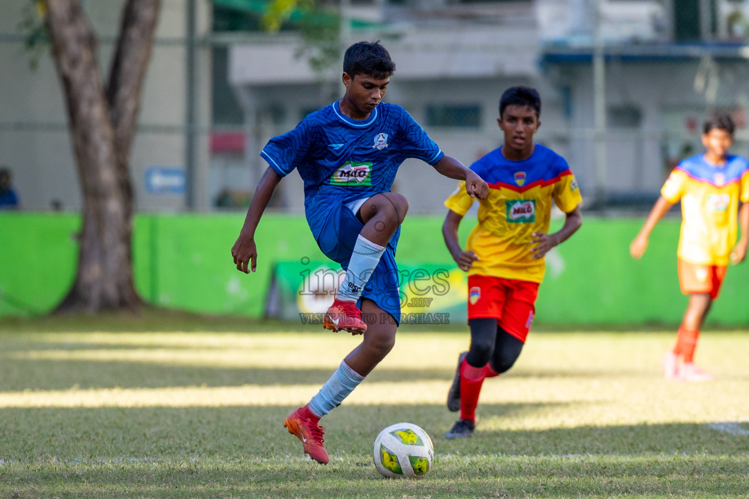 Day 3 of MILO Academy Championship 2024 (U-14) was held in Henveyru Stadium, Male', Maldives on Saturday, 2nd November 2024.
Photos: Ismail Thoriq, Images.mv