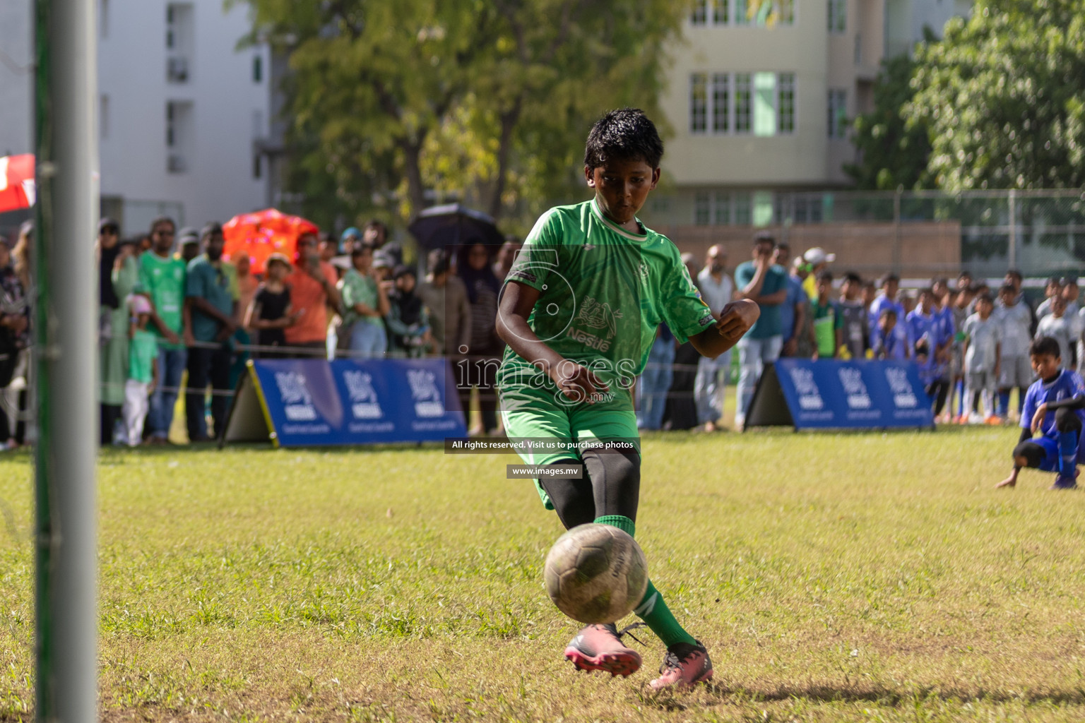 Day 4 of Nestle Kids Football Fiesta, held in Henveyru Football Stadium, Male', Maldives on Saturday, 14th October 2023
Photos: Mohamed Mahfooz Moosa, Hassan Simah / images.mv