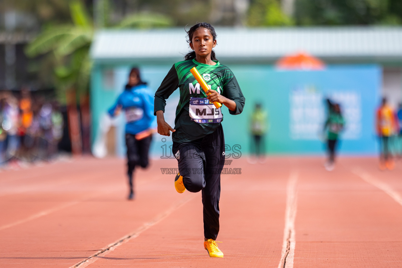 Day 5 of MWSC Interschool Athletics Championships 2024 held in Hulhumale Running Track, Hulhumale, Maldives on Wednesday, 13th November 2024. Photos by: Raif Yoosuf / Images.mv