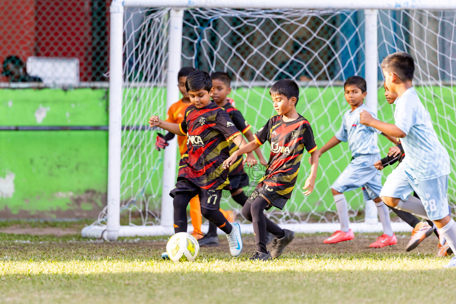 Day 2 of MILO SVAM Juniors 2025 (U-8) was held at Henveiru Stadium in Male', Maldives on Friday, 27th June 2025. 

Photos: Hassan Simah / images.mv