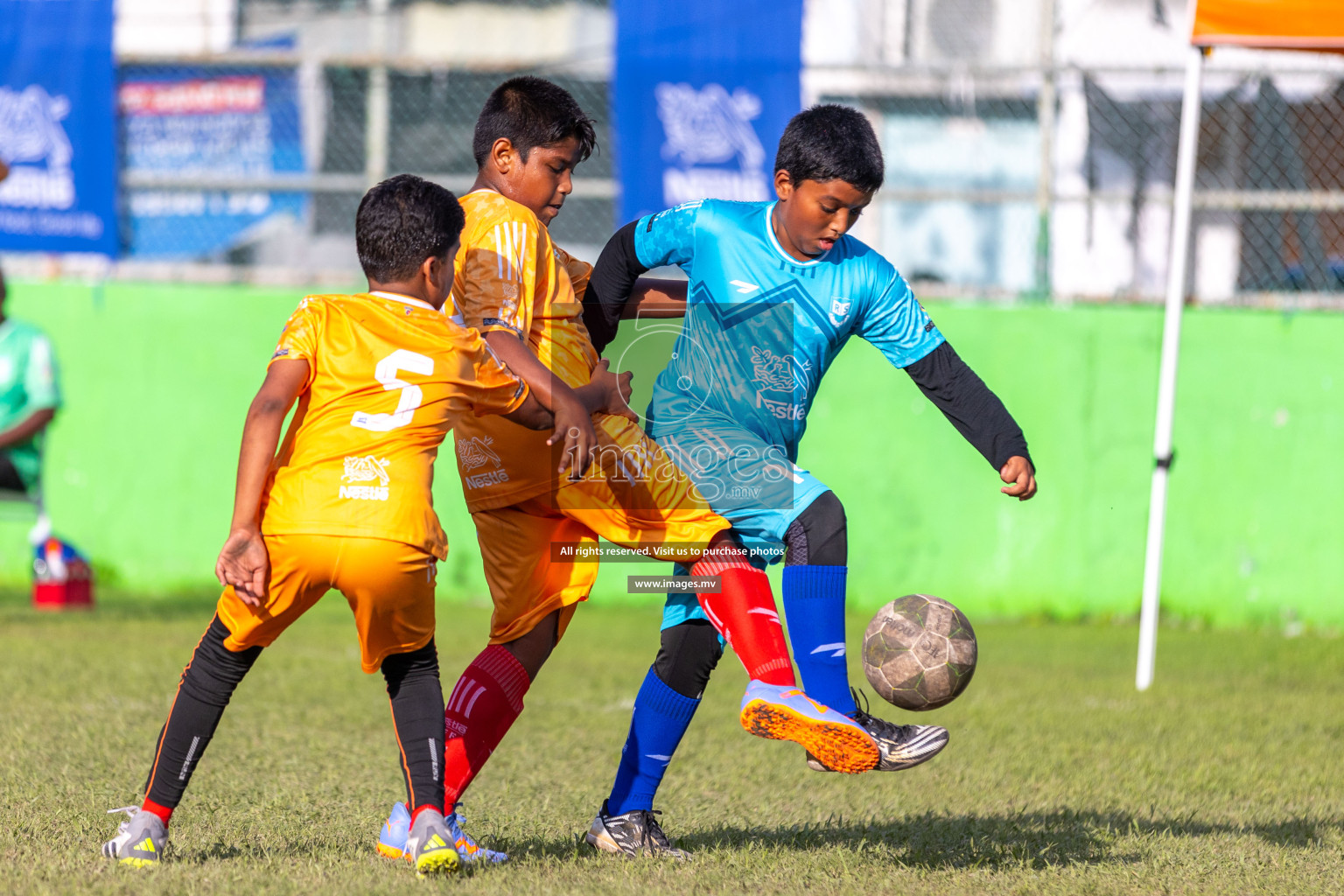 Day 2 of Nestle kids football fiesta, held in Henveyru Football Stadium, Male', Maldives on Thursday, 12th October 2023 Photos: Ismail Thoriq / Images.mv