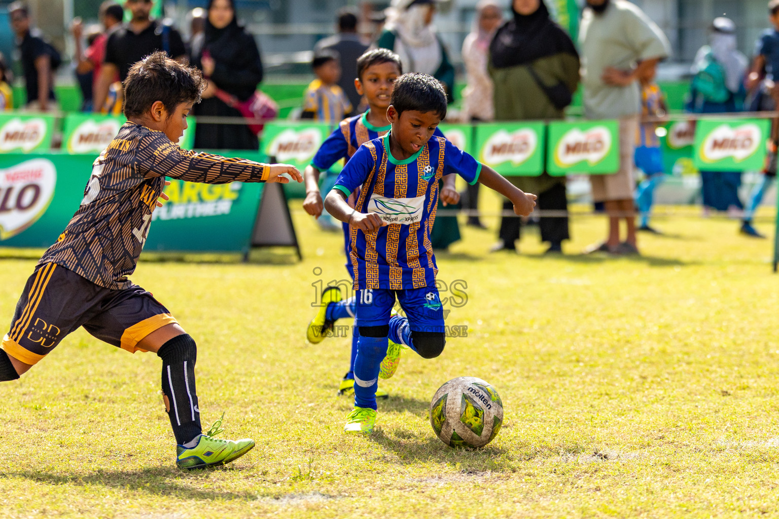 Day 2 of MILO SVAM Juniors 2025 (U-8) was held at Henveiru Stadium in Male', Maldives on Friday, 27th June 2025. Photos: Mohamed Mahfooz Moosa / images.mv