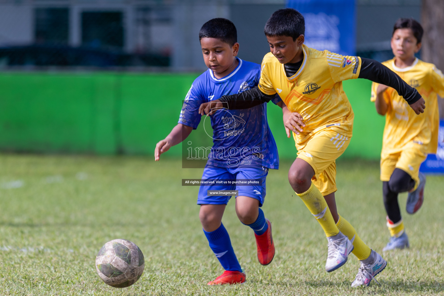 Day 4 of Nestle Kids Football Fiesta, held in Henveyru Football Stadium, Male', Maldives on Saturday, 14th October 2023
Photos: Ismail Thoriq / images.mv