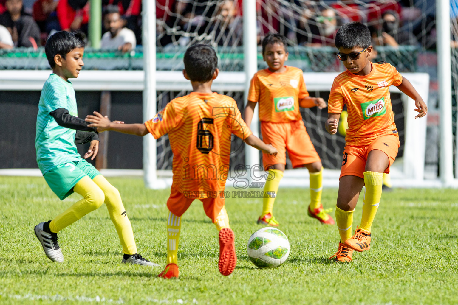 Day 1 of MILO Kids Football Fiesta was held at National Stadium in Male', Maldives on Friday, 23rd February 2024. 
Photos: Hassan Simah / images.mv