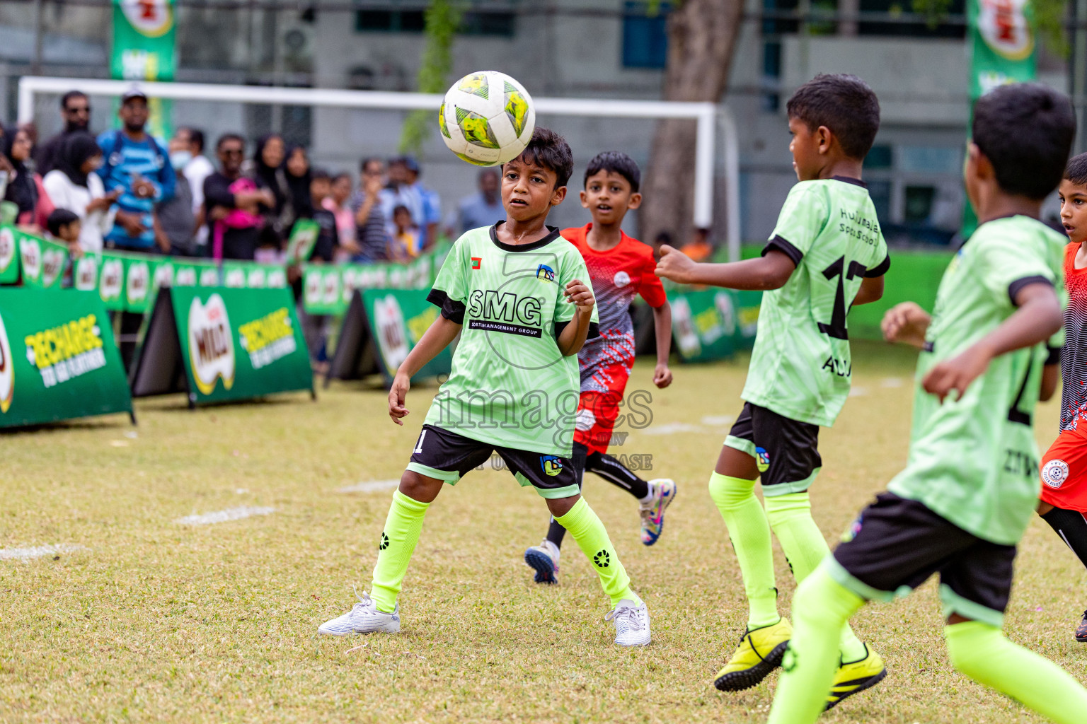 Day 1 of MILO SVAM Juniors 2025 (U-8) was held at Henveiru Stadium in Male', Maldives on Thursday, 26th June 2025. 
Photos: Hassan Simah / images.mv