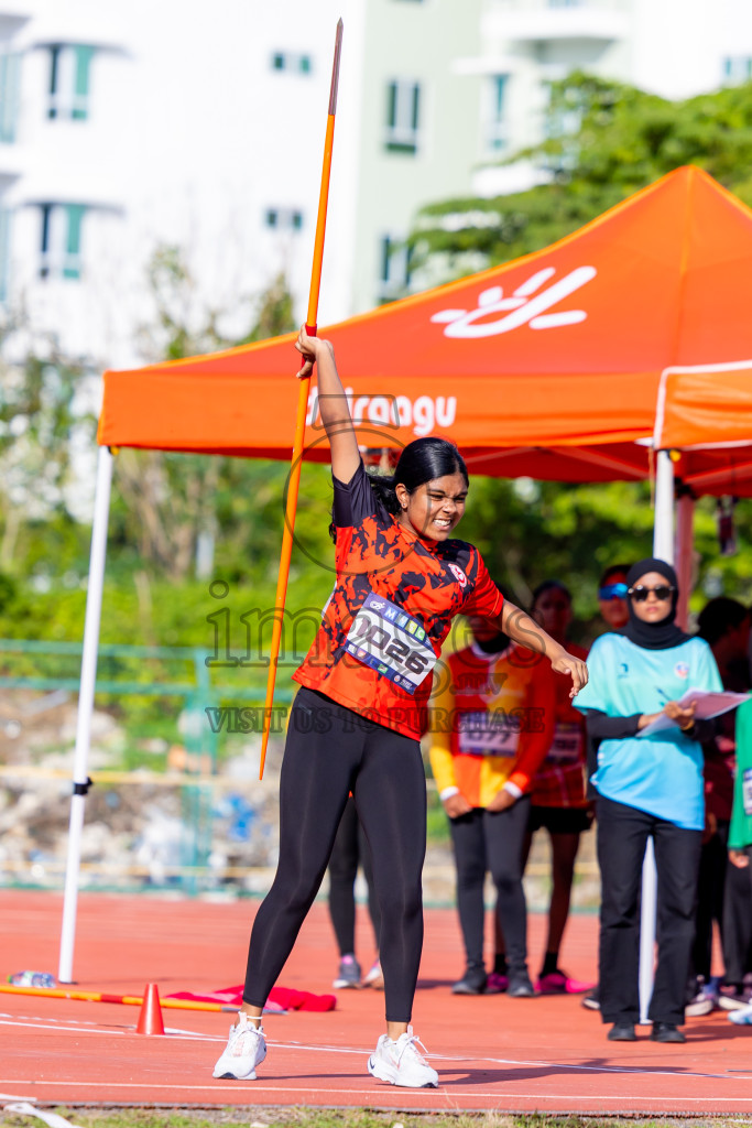 Day 3 of MWSC Interschool Athletics Championships 2024 held in Hulhumale Running Track, Hulhumale, Maldives on Monday, 11th November 2024. Photos by: Nausham Waheed / Images.mv