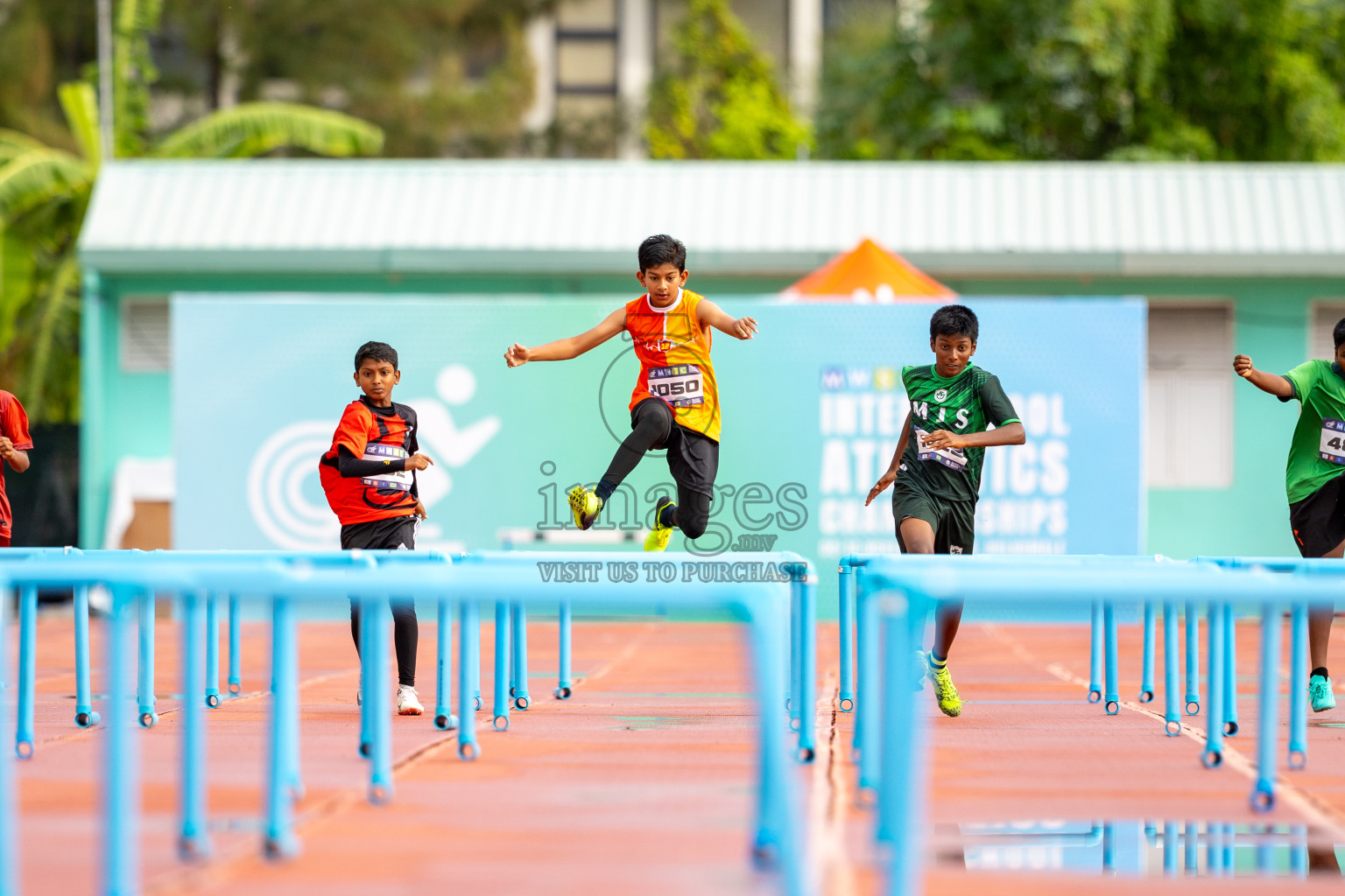 Day 2 of MWSC Interschool Athletics Championships 2024 held in Hulhumale Running Track, Hulhumale, Maldives on Sunday, 10th November 2024.
Photos by: Ismail Thoriq / Images.mv