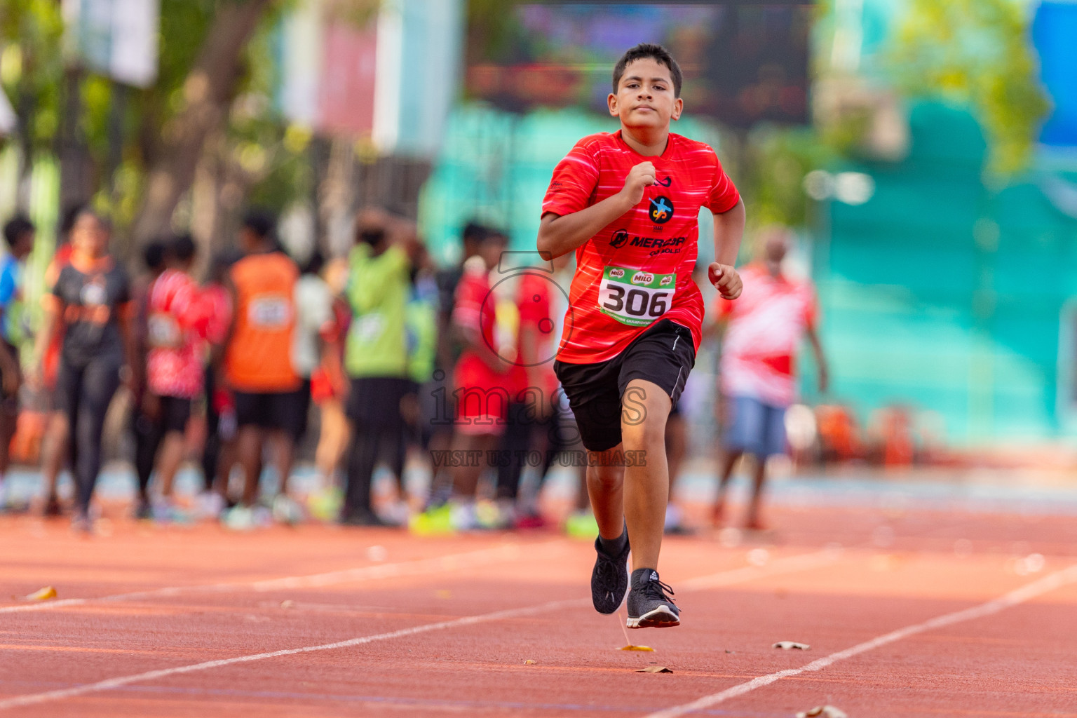 Day 2 of MILO Athletics Association Championship was held on Wednesday, 6th May 2024 in Male', Maldives. Photos: Nausham Waheed