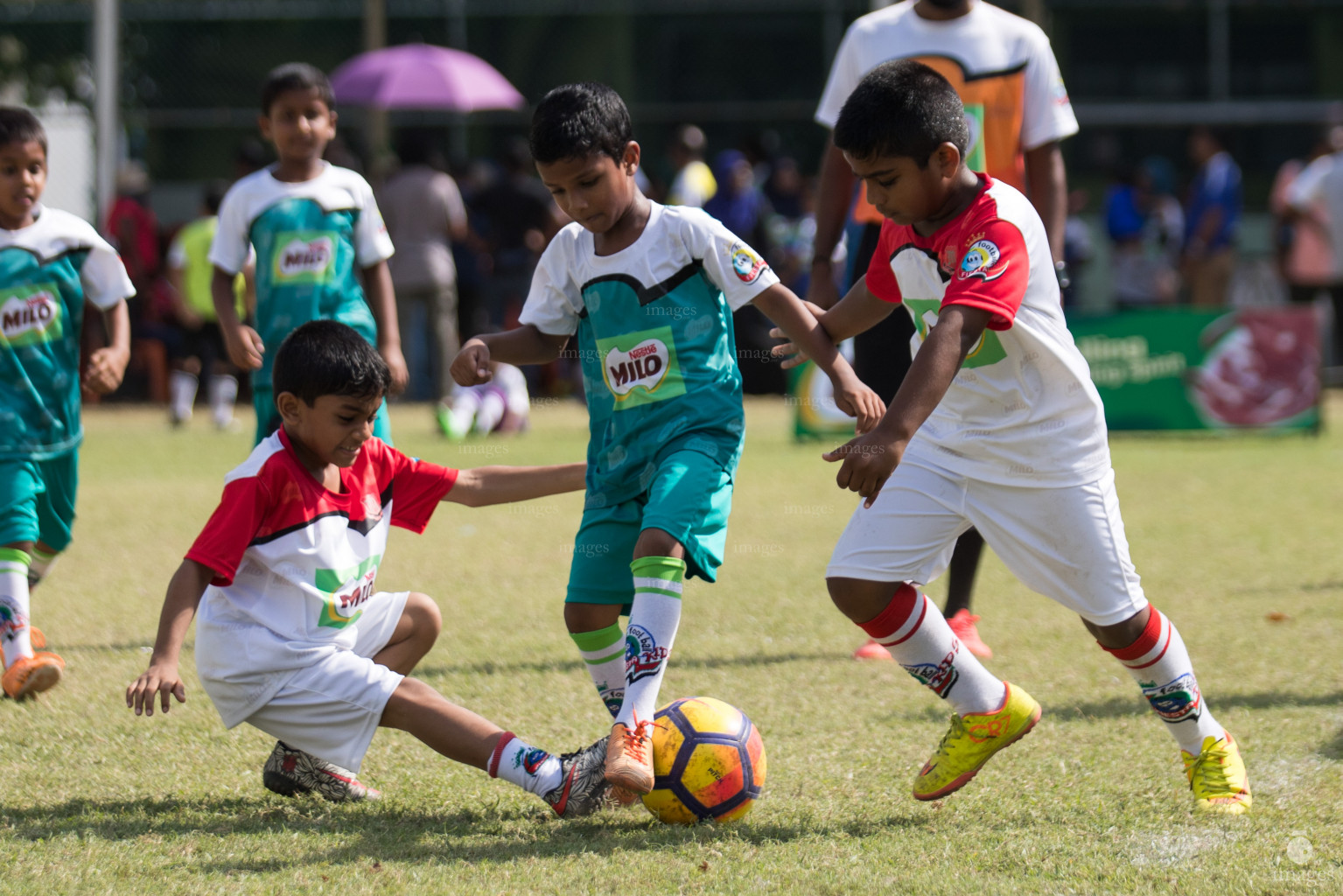 Day 3 of MILO Kids Football Fiesta in Henveiru Grounds in Male', Maldives, Friday, February 22nd 2019 (Images.mv Photo / Suadh Abdul Sattar)