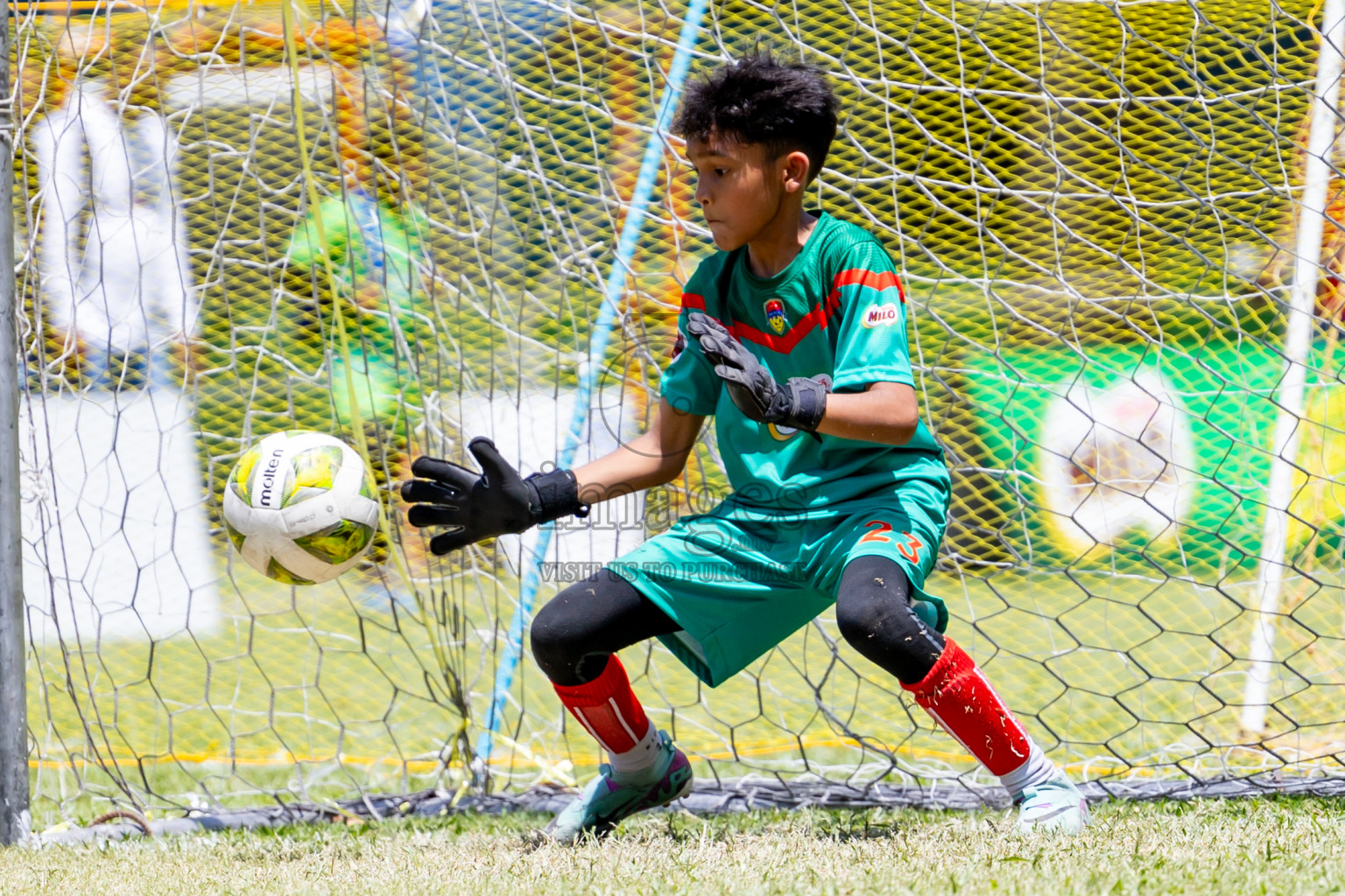 Day 3 MILO Kids 7s Weekend 2024 held in Male, Maldives on Saturday, 19th October 2024. Photos: Nausham Waheed / images.mv