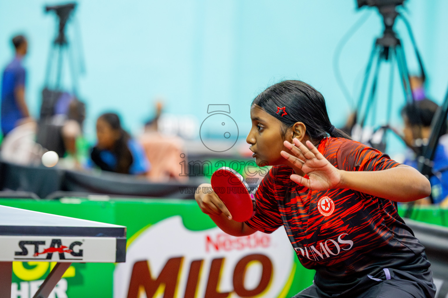 Day 4 of Interschool Table Tennis Tournament 2025 held at Male' TT Hall, Male', Maldives on Sunday, 18th May 2025.
Photos By: Ismail Thoriq / images.mv