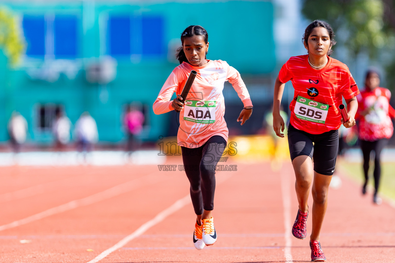 Day 4 of MILO Athletics Association Championship was held on Friday, 8th May 2024 in Male', Maldives. Photos: Nausham Waheed