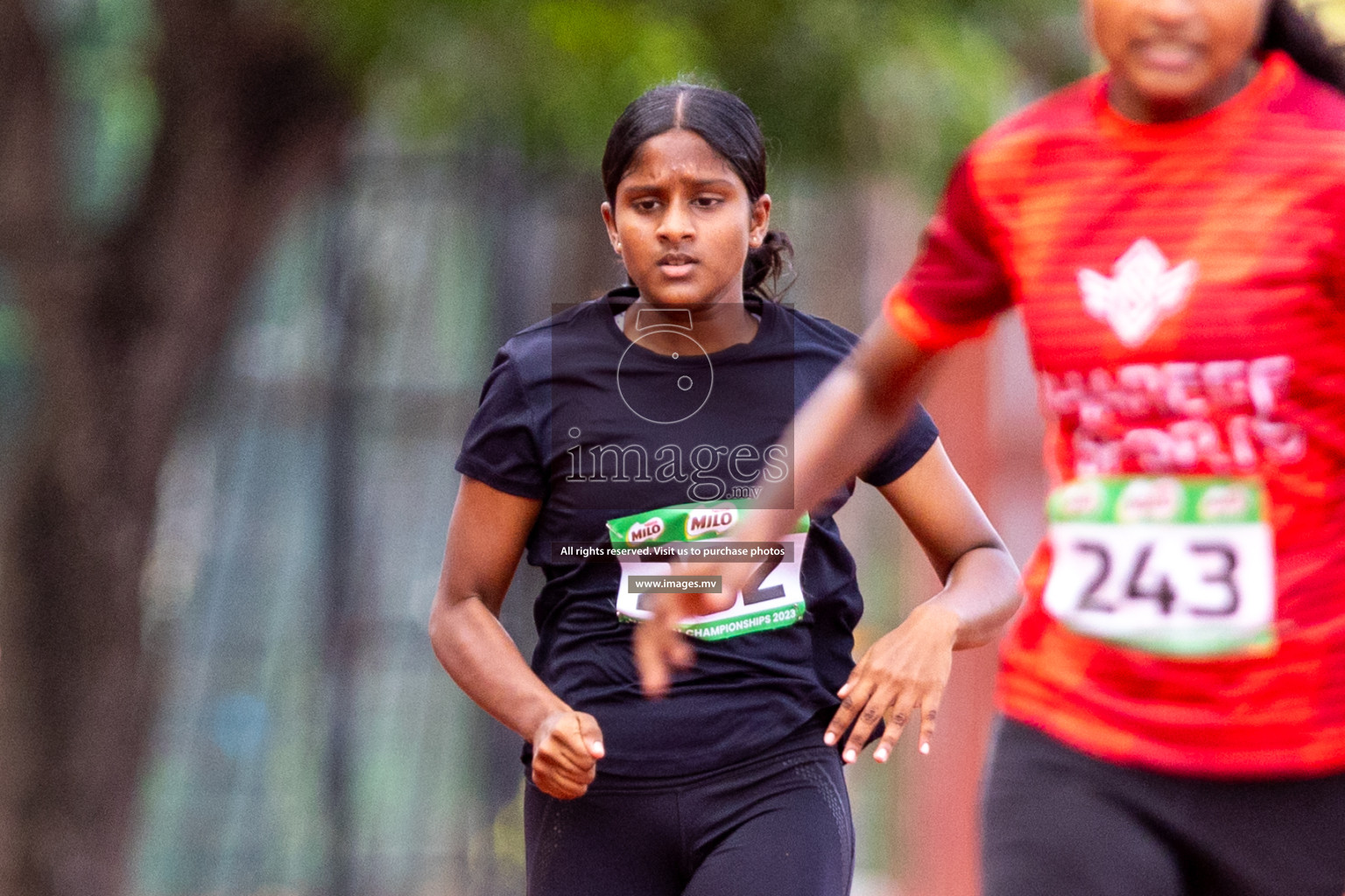 Day 2 of National Athletics Championship 2023 was held in Ekuveni Track at Male', Maldives on Friday, 24th November 2023. Photos: Nausham Waheed / images.mv