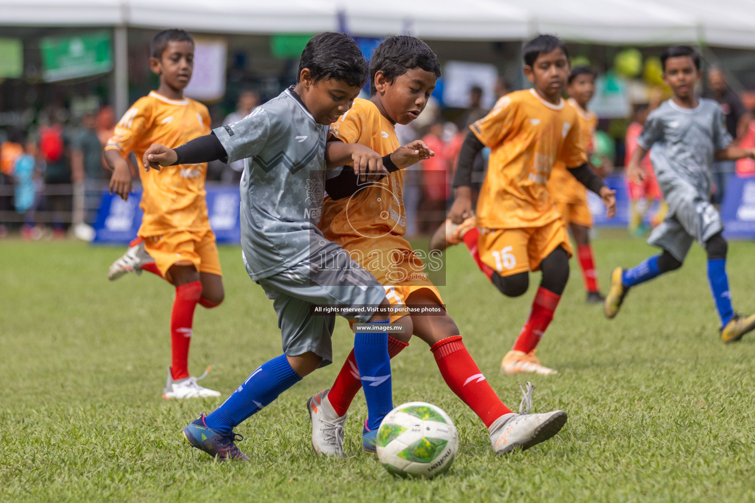 Day 2 of Nestle kids football fiesta, held in Henveyru Football Stadium, Male', Maldives on Thursday, 12th October 2023 Photos: Shuu Abdul Sattar / mages.mv