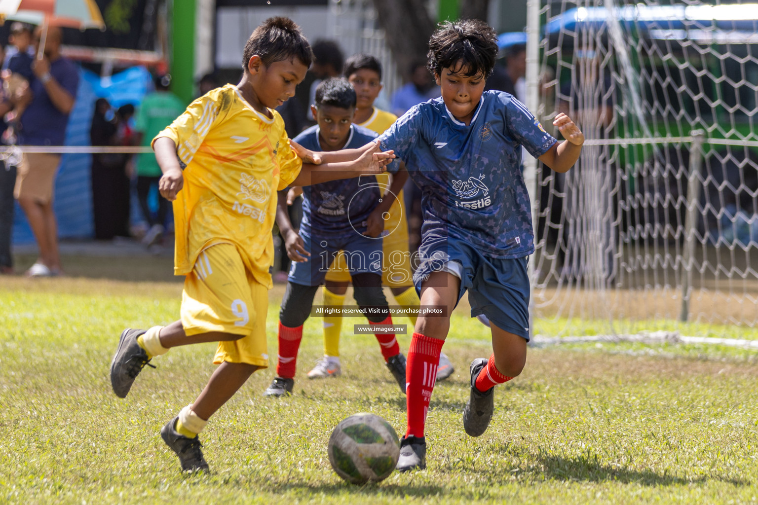 Day 3 of Nestle Kids Football Fiesta, held in Henveyru Football Stadium, Male', Maldives on Friday, 13th October 2023
Photos: Hassan Simah, Ismail Thoriq / images.mv