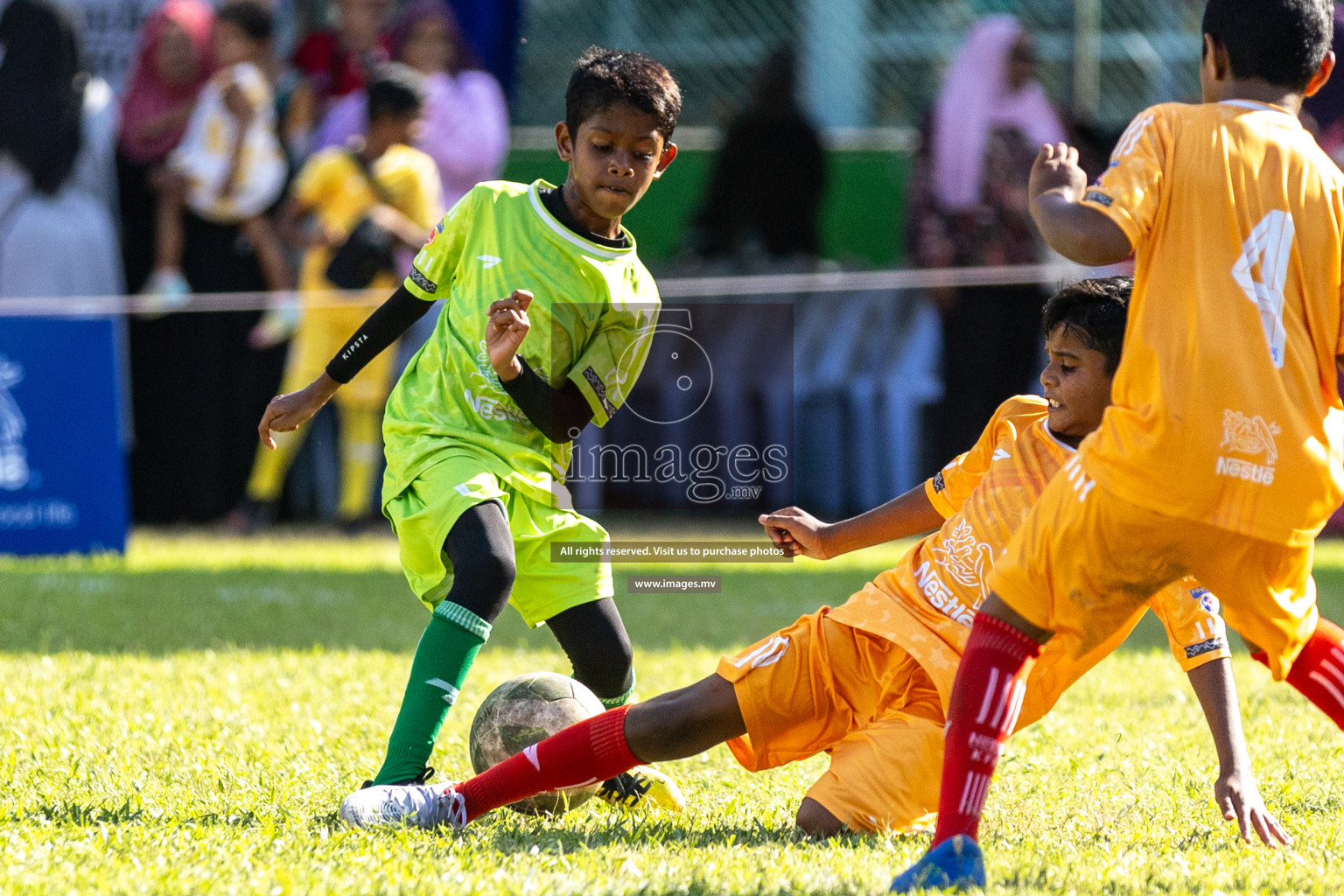 Day 3 of Nestle Kids Football Fiesta, held in Henveyru Football Stadium, Male', Maldives on Friday, 13th October 2023 Photos: Hassan Simah, Ismail Thoriq, Mohamed Mahfooz Moosa, Nausham Waheed / images.mv