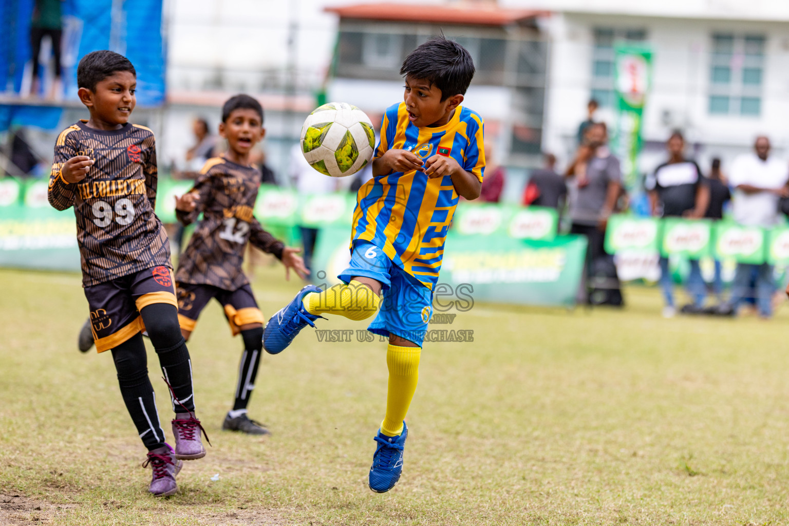 Day 1 of MILO SVAM Juniors 2025 (U-8) was held at Henveiru Stadium in Male', Maldives on Thursday, 26th June 2025. 
Photos: Hassan Simah / images.mv