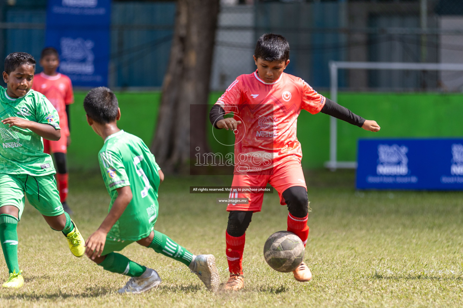 Day 3 of Nestle Kids Football Fiesta, held in Henveyru Football Stadium, Male', Maldives on Friday, 13th October 2023
Photos: Hassan Simah, Ismail Thoriq / images.mv