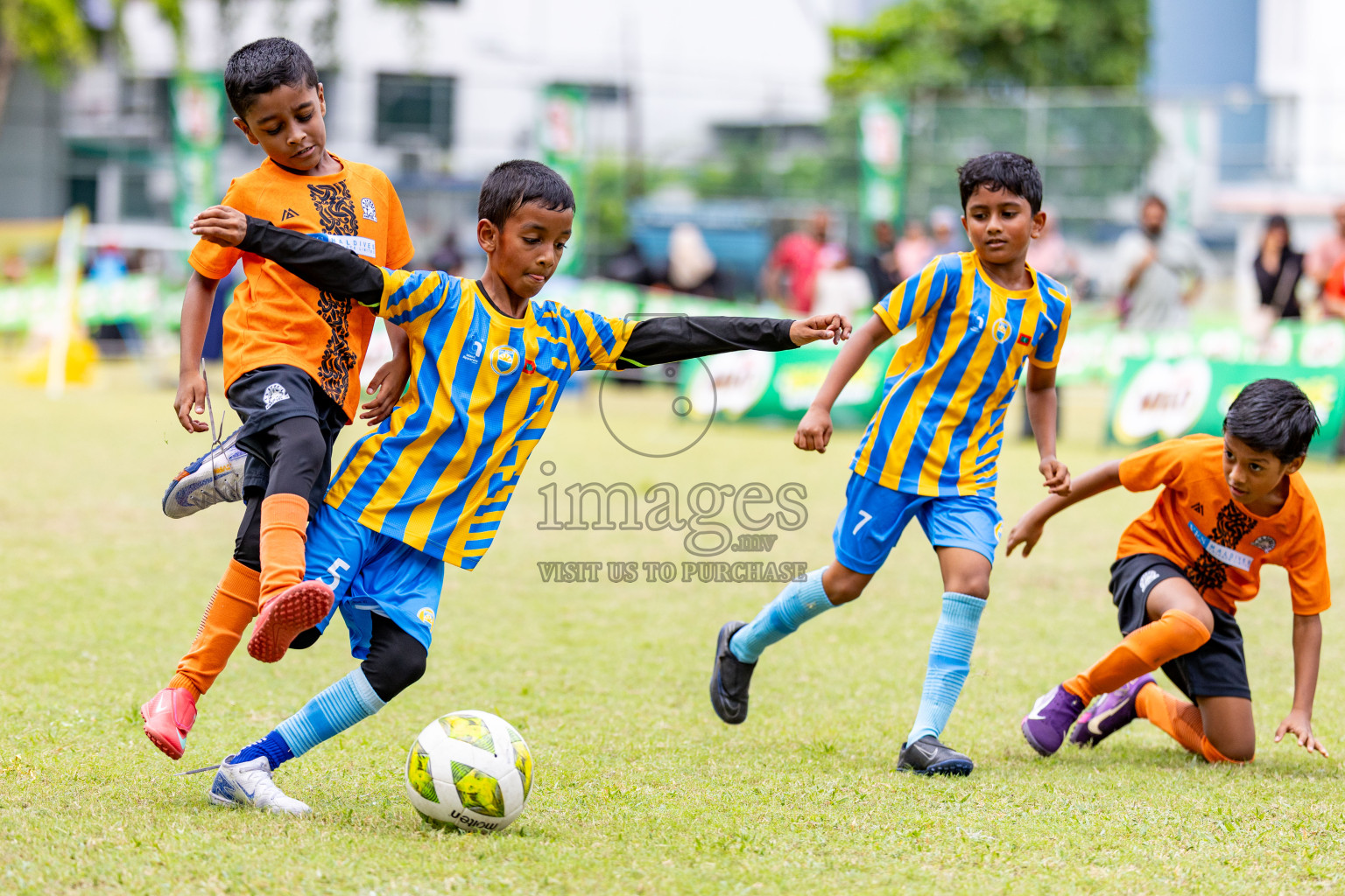 Day 1 of MILO SVAM Juniors 2025 (U-8) was held at Henveiru Stadium in Male', Maldives on Thursday, 26th June 2025. 
Photos: Hassan Simah / images.mv