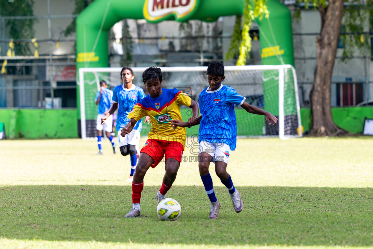 Day 4 of MILO Academy Championship 2024 (U-14) was held in Henveyru Stadium, Male', Maldives on Sunday, 3rd November 2024. 
Photos: Hassan Simah / Images.mv