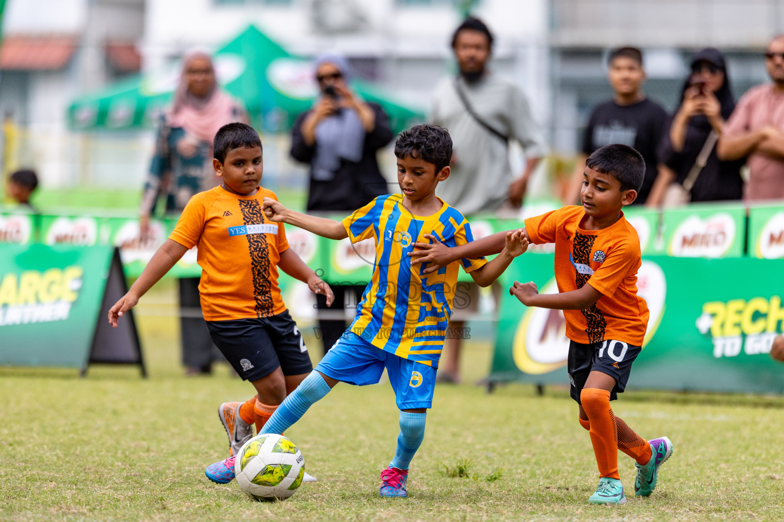 Day 1 of MILO SVAM Juniors 2025 (U-8) was held at Henveiru Stadium in Male', Maldives on Thursday, 26th June 2025. 
Photos: Hassan Simah / images.mv