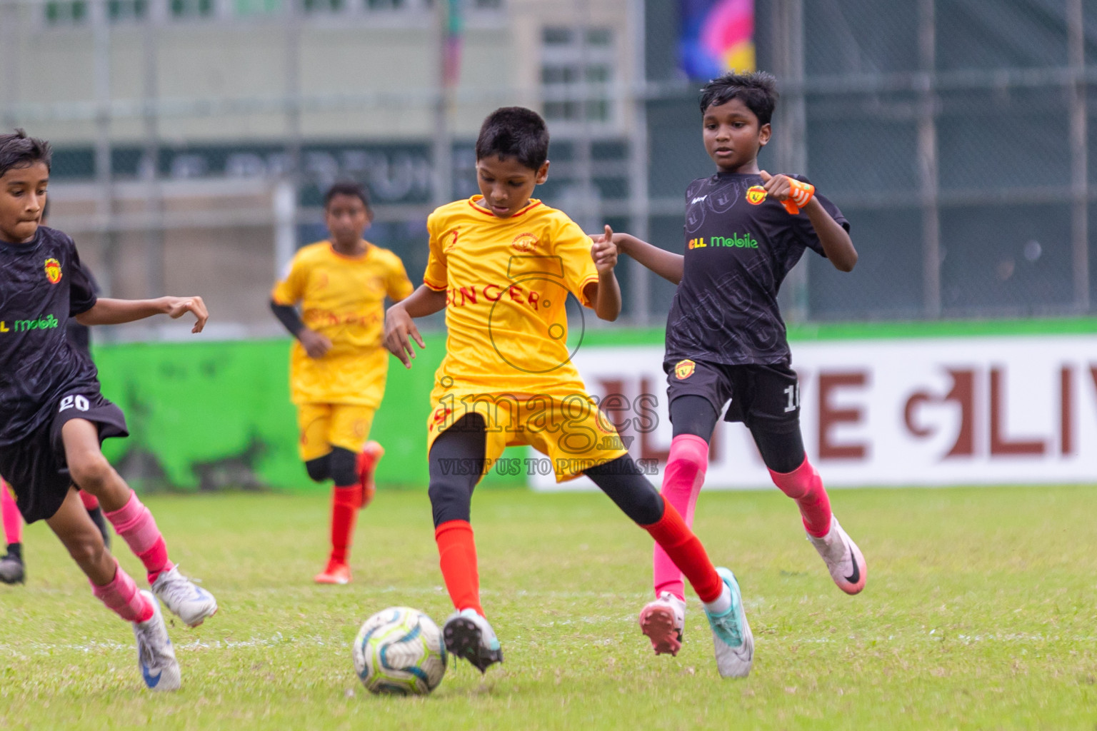 United Victory vs Victory Sports Club  (U12) in Day 5 of Dhivehi Youth League 2024 held at Henveiru Stadium on Friday 29th November 2024. Photos: Shuu Abdul Sattar/ Images.mv