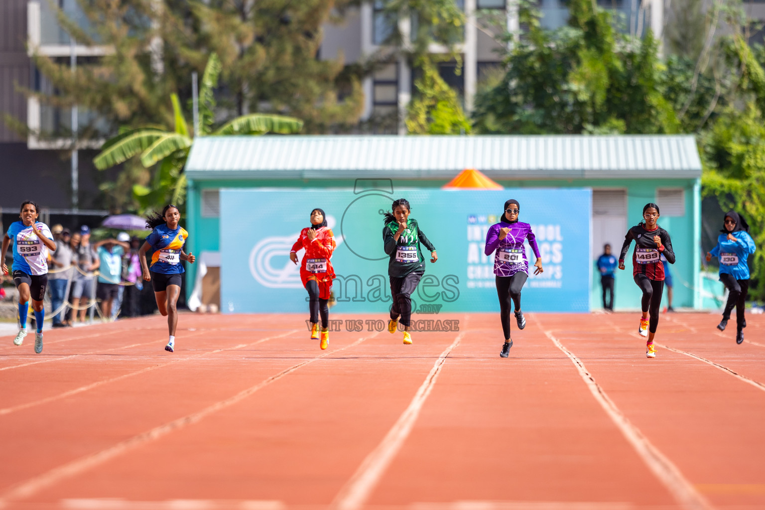 Day 4 of MWSC Interschool Athletics Championships 2024 held in Hulhumale Running Track, Hulhumale, Maldives on Tuesday, 12th November 2024. Photos by: Raaif Yoosuf / Images.mv