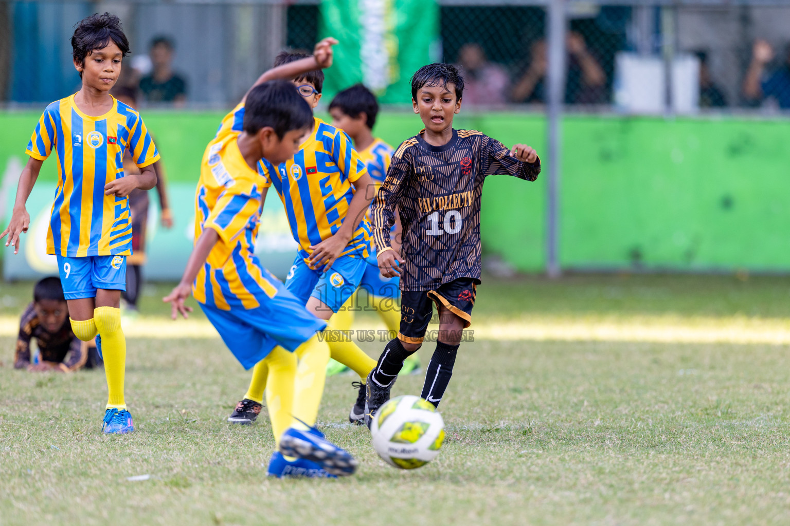 Day 2 of MILO SVAM Juniors 2025 (U-8) was held at Henveiru Stadium in Male', Maldives on Friday, 27th June 2025. 

Photos: Hassan Simah / images.mv
