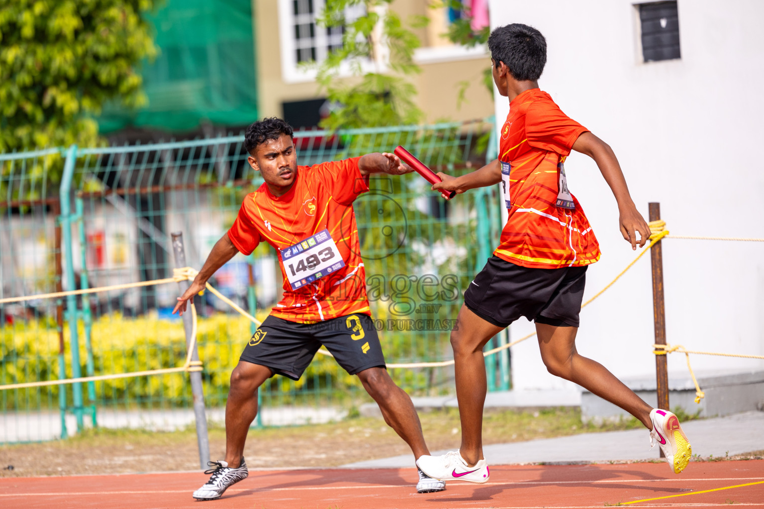 Day 5 of MWSC Interschool Athletics Championships 2024 held in Hulhumale Running Track, Hulhumale, Maldives on Wednesday, 13th November 2024. Photos by: Ismail Thoriq / Images.mv