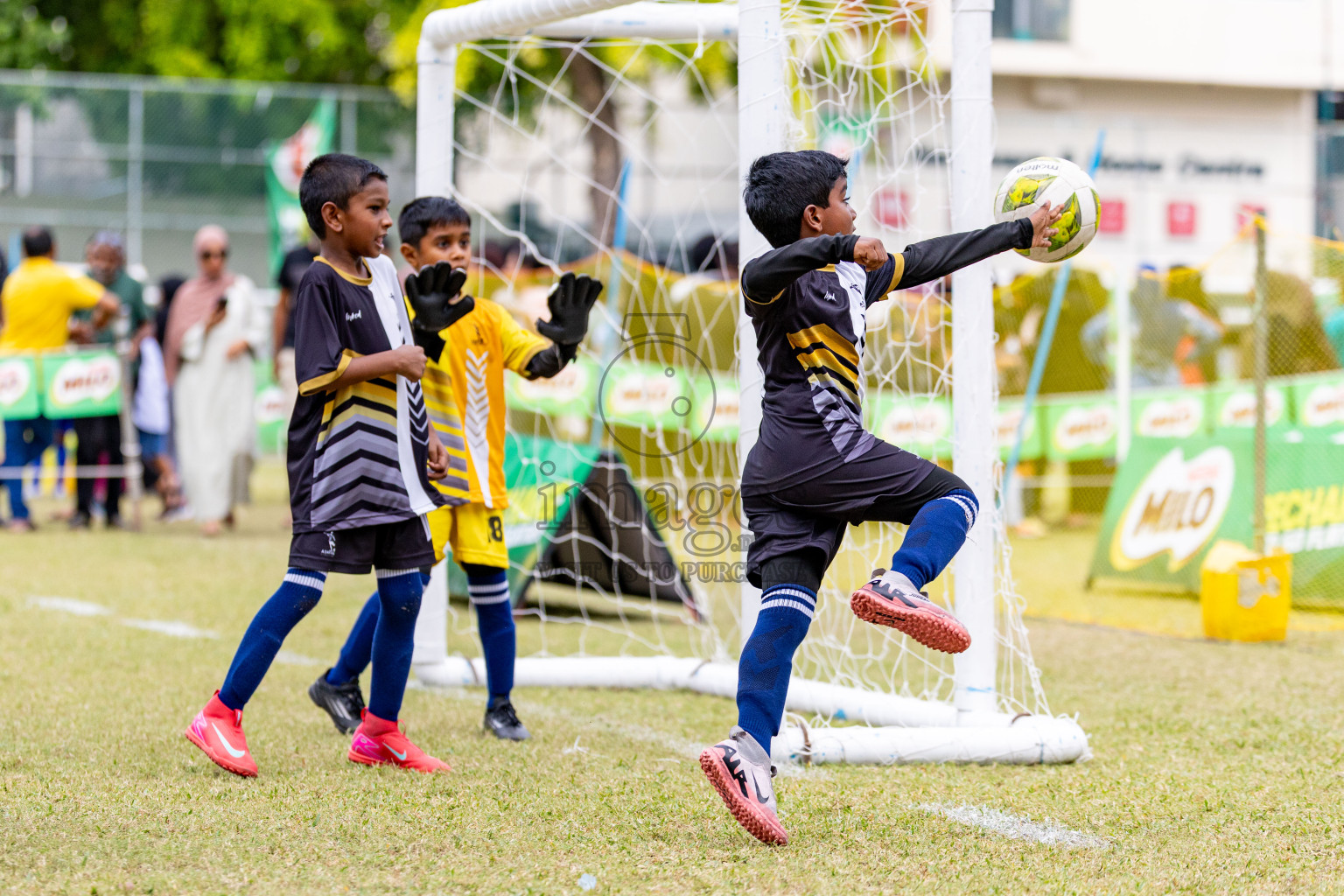 Day 1 of MILO SVAM Juniors 2025 (U-8) was held at Henveiru Stadium in Male', Maldives on Thursday, 26th June 2025. 
Photos: Hassan Simah / images.mv