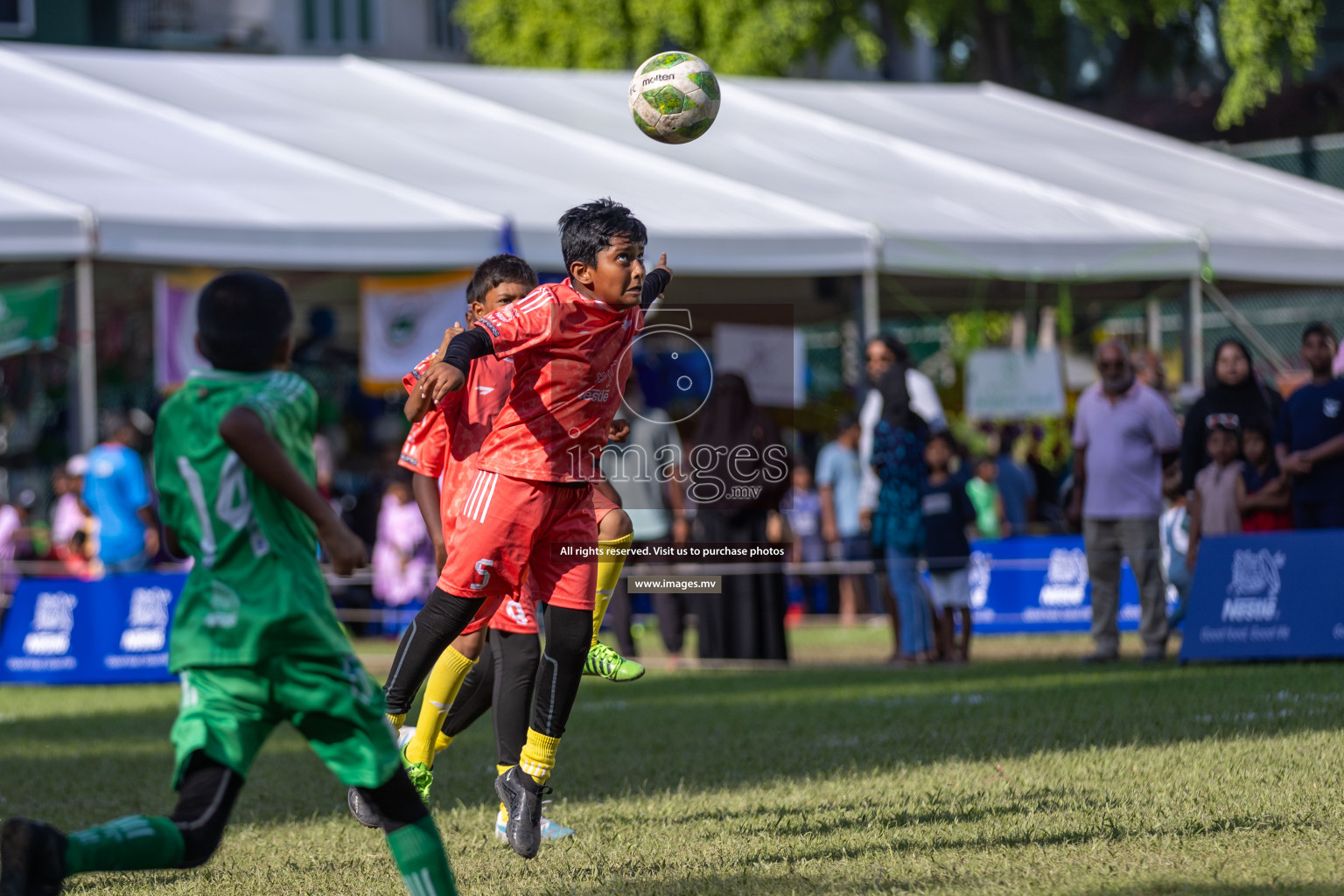 Day 3 of Nestle Kids Football Fiesta, held in Henveyru Football Stadium, Male', Maldives on Friday, 13th October 2023
Photos: Hassan Simah, Ismail Thoriq / images.mv