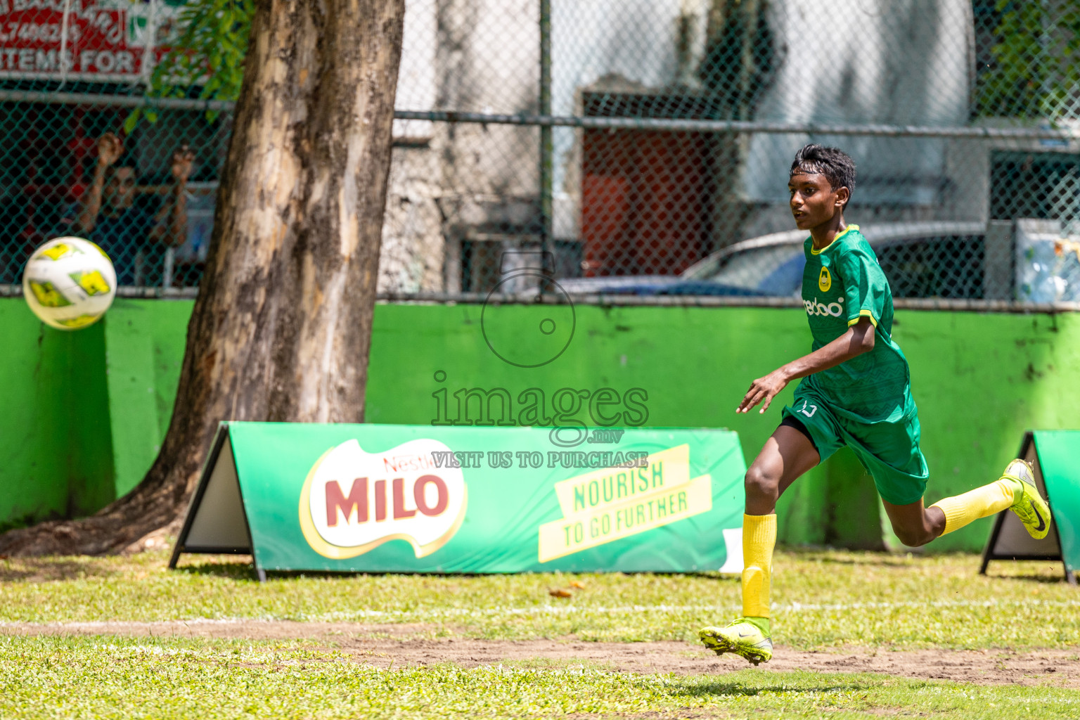 Day 4 of MILO Academy Championship 2024 (U-14) was held in Henveyru Stadium, Male', Maldives on Sunday, 3rd November 2024.
Photos: Ismail Thoriq /  Images.mv