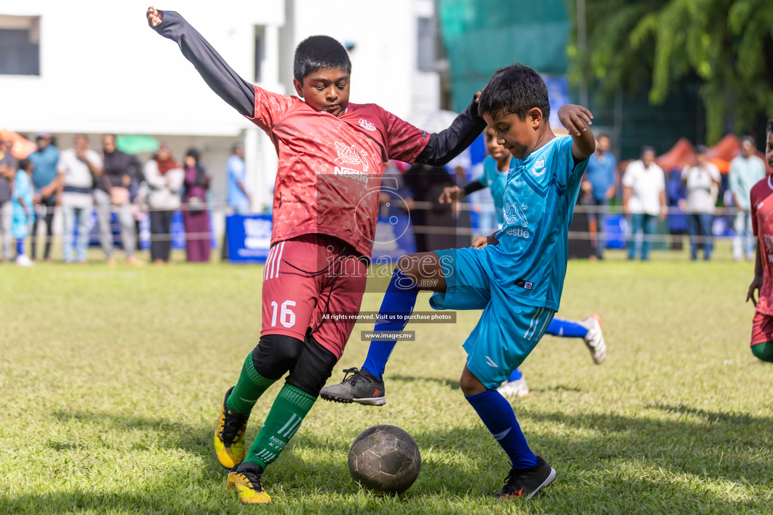 Day 3 of Nestle Kids Football Fiesta, held in Henveyru Football Stadium, Male', Maldives on Friday, 13th October 2023
Photos: Hassan Simah, Ismail Thoriq / images.mv