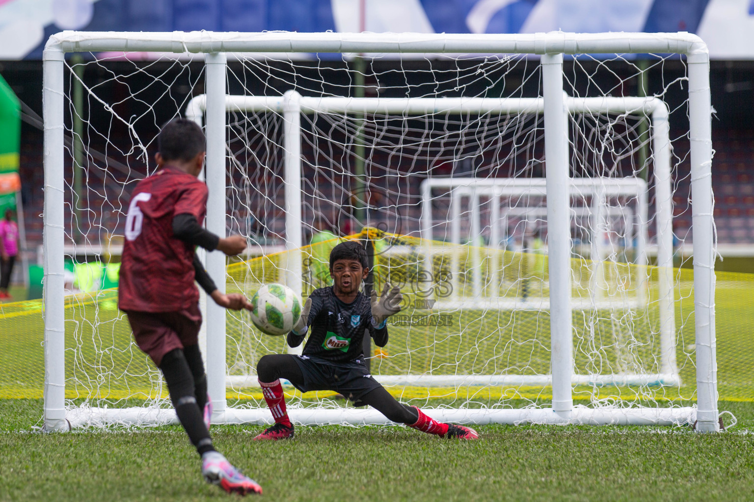 Day 2 of MILO Kids Football Fiesta was held at National Stadium in Male', Maldives on Saturday, 24th February 2024.