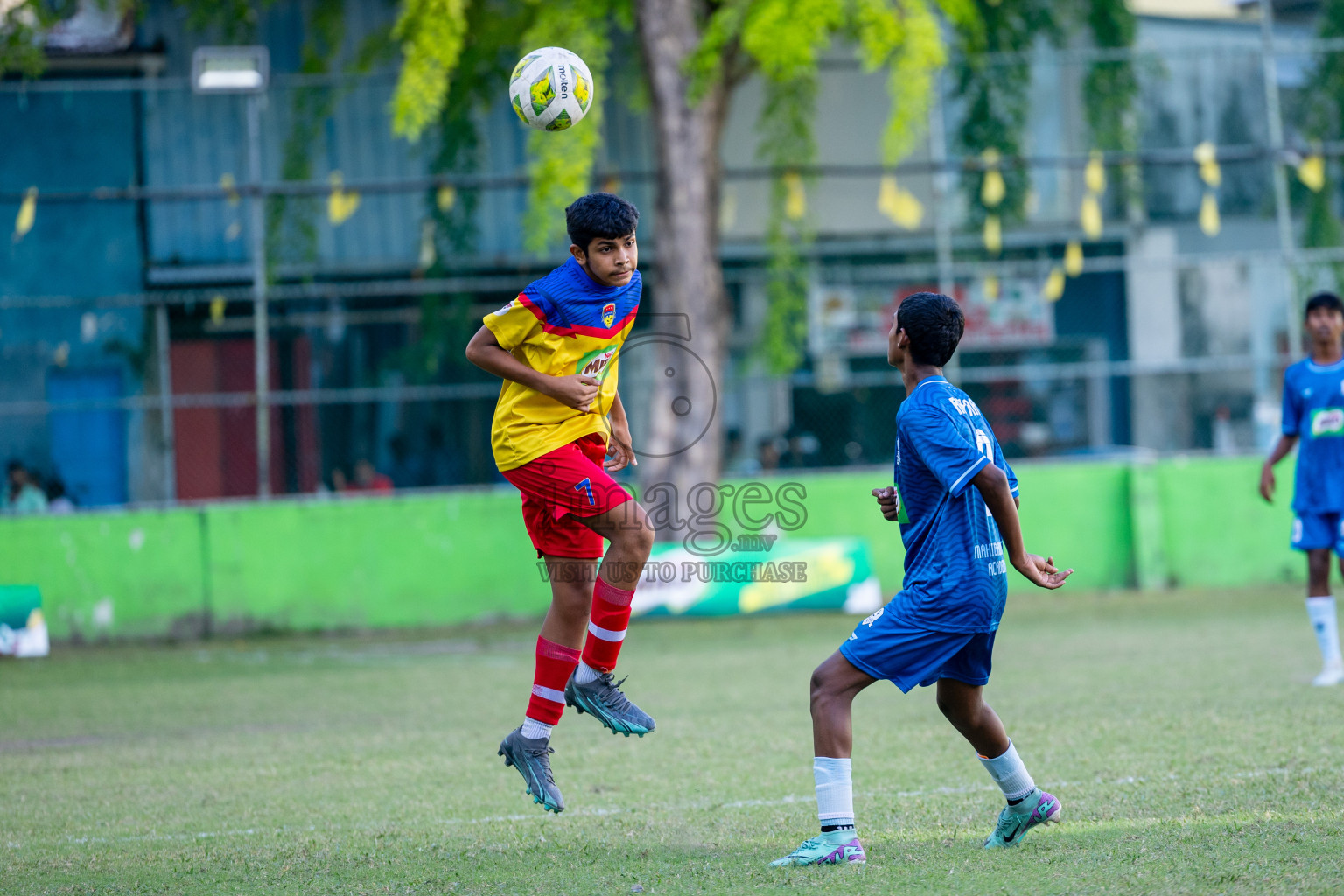 Day 3 of MILO Academy Championship 2024 (U-14) was held in Henveyru Stadium, Male', Maldives on Saturday, 2nd November 2024.
Photos: Ismail Thoriq, Images.mv