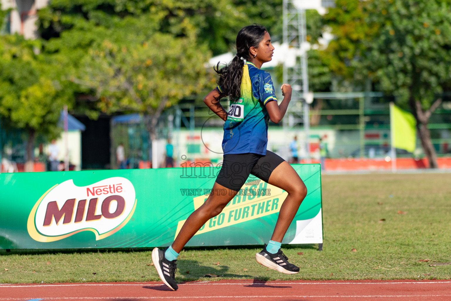 Day 4 of MILO Athletics Association Championship was held on Friday, 8th March 2024 in Male', Maldives. Photos: Hasna Hussain