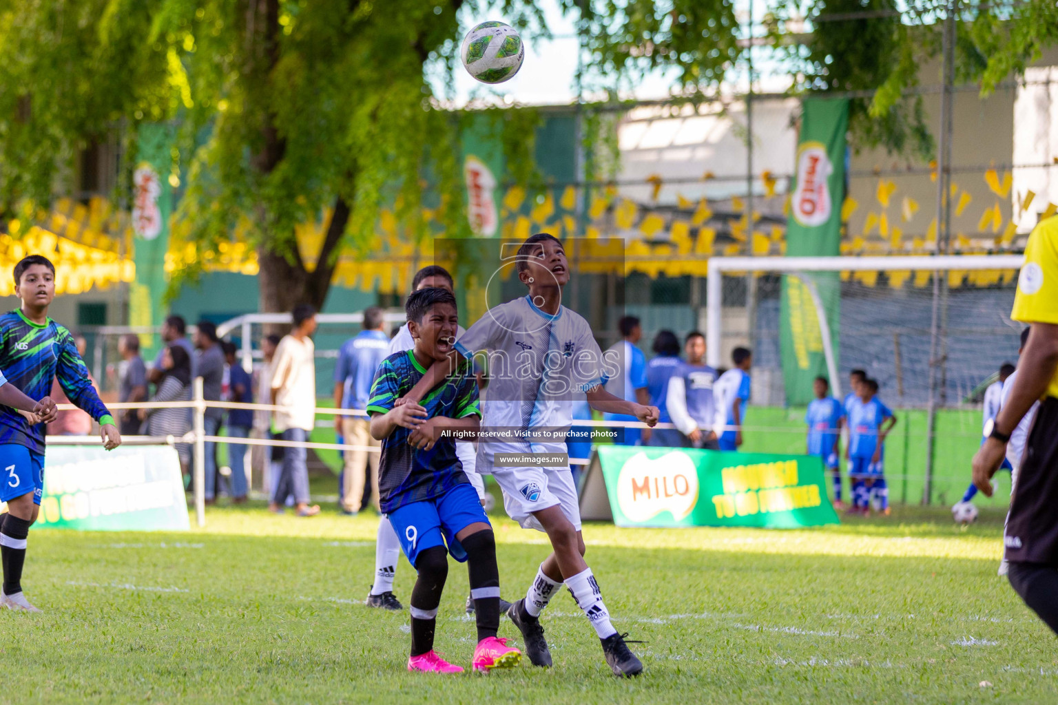 Day 1 of MILO Academy Championship 2023 (U12) was held in Henveiru Football Grounds, Male', Maldives, on Friday, 18th August 2023. 
Photos: Ismail Thoriq / images.mv