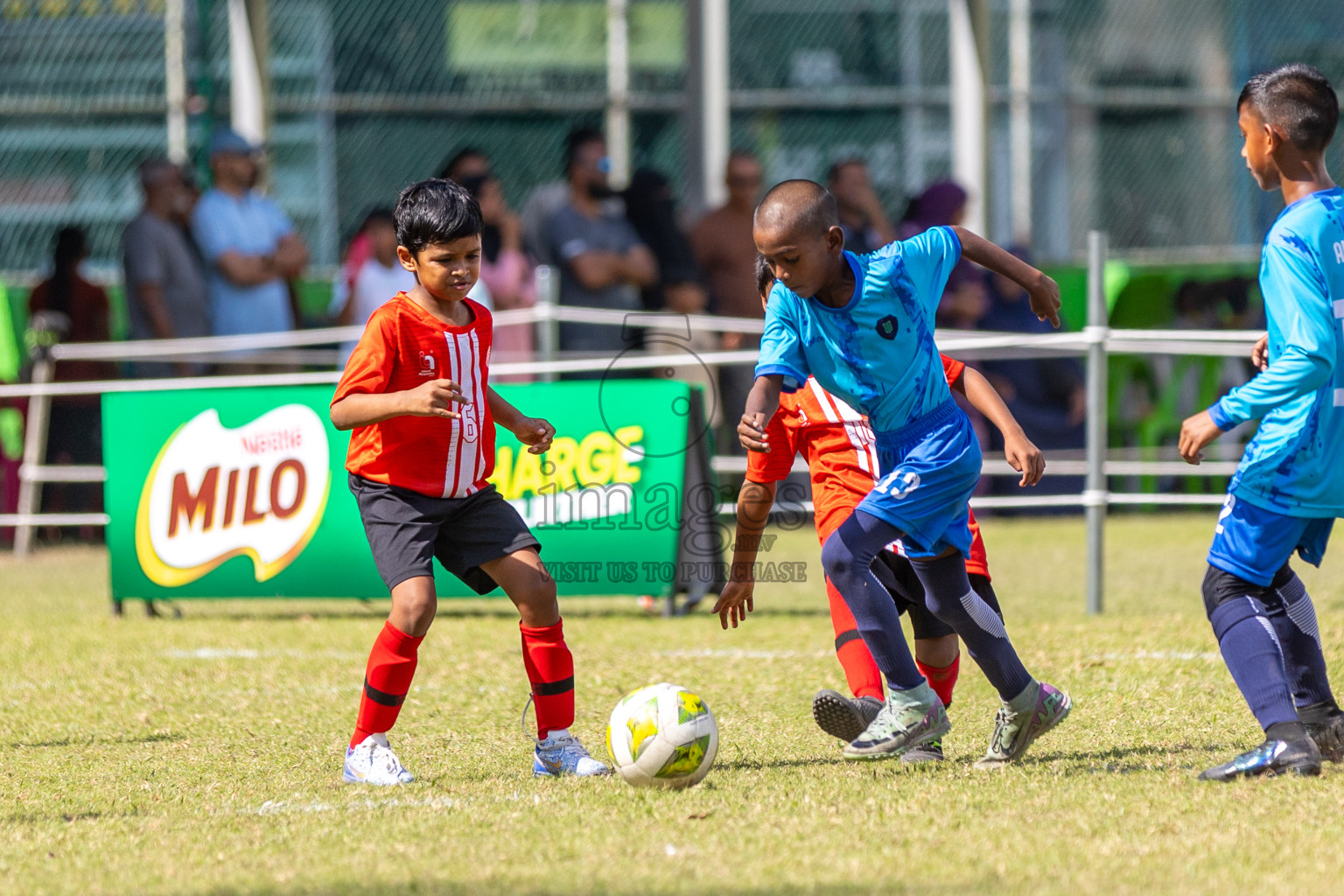 Day 2 of MILO Academy Championship 2025 was held on Friday, 14th February 2025 in Henveiru Stadium.
Photos: Mohamed Mahfooz Moosa / Images.mv