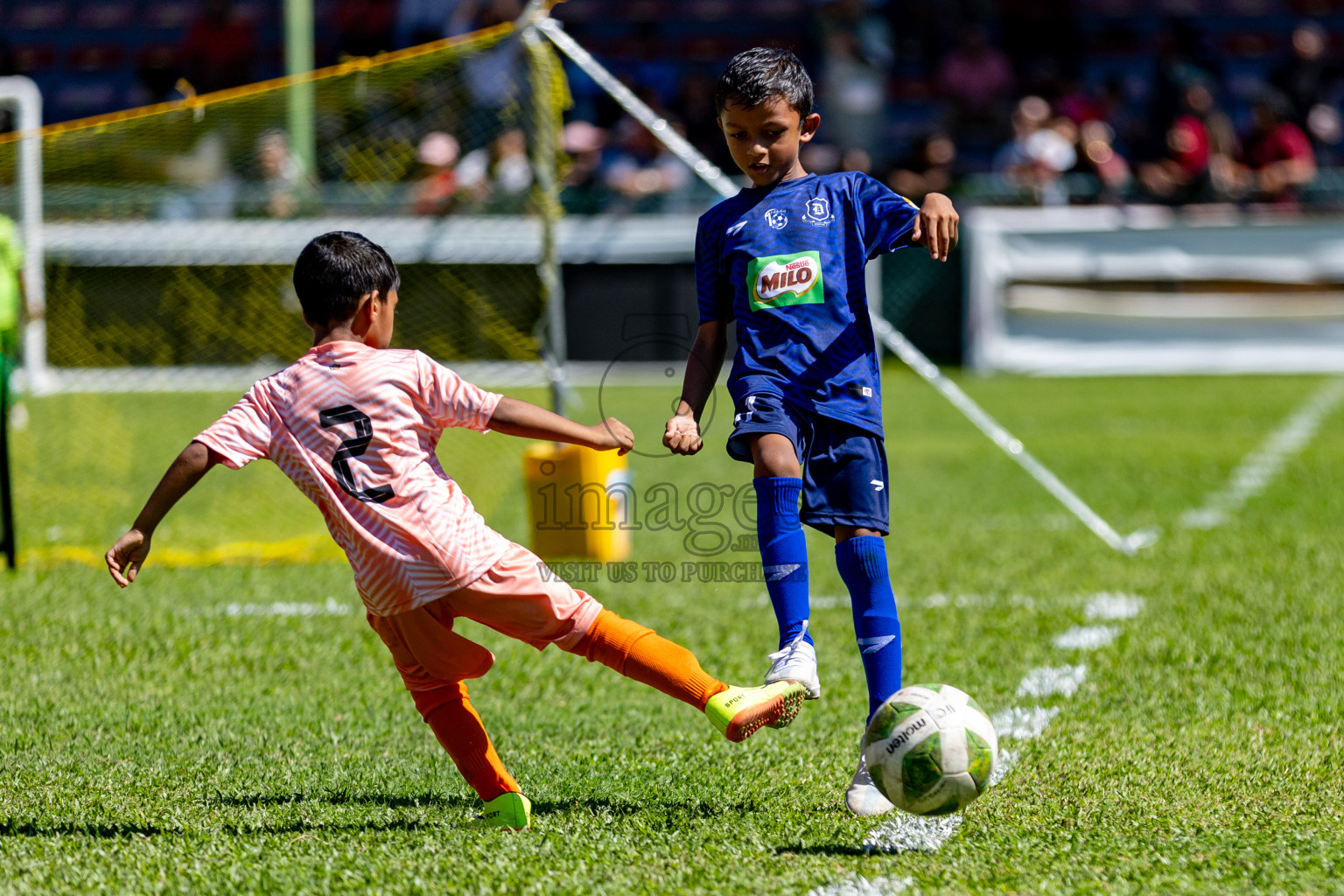 Day 1 of MILO Kids Football Fiesta was held at National Stadium in Male', Maldives on Friday, 23rd February 2024. 
Photos: Hassan Simah / images.mv