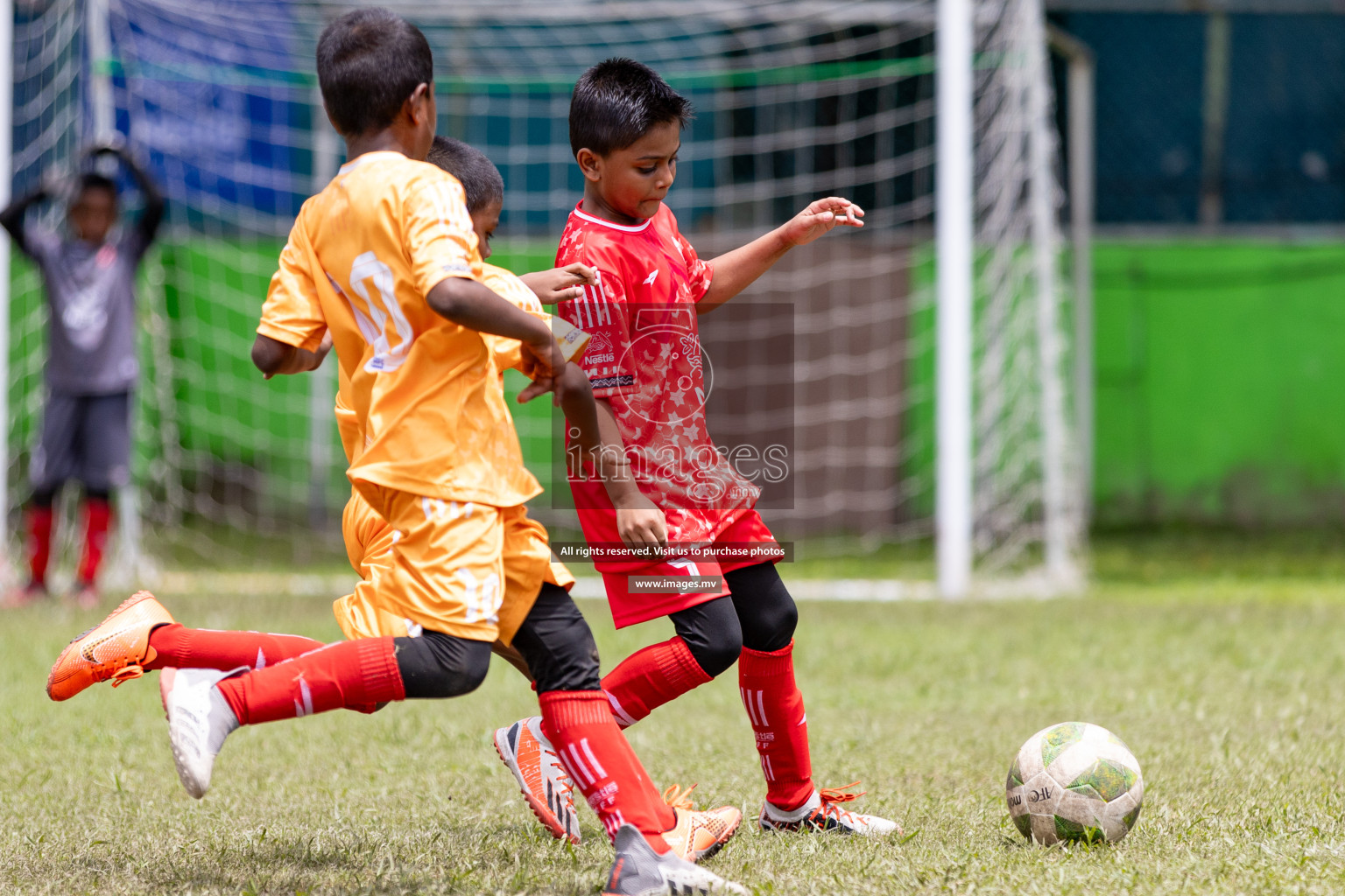 Day 1 of Milo kids football fiesta, held in Henveyru Football Stadium, Male', Maldives on Wednesday, 11th October 2023 Photos: Nausham Waheed/ Images.mv