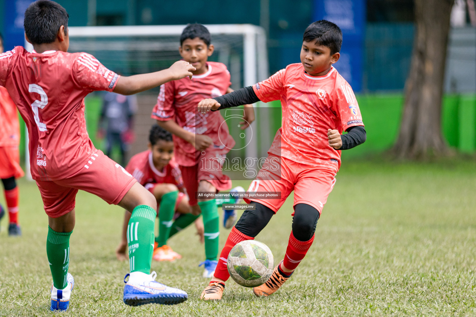 Day 1 of Milo kids football fiesta, held in Henveyru Football Stadium, Male', Maldives on Wednesday, 11th October 2023 Photos: Nausham Waheed/ Images.mv