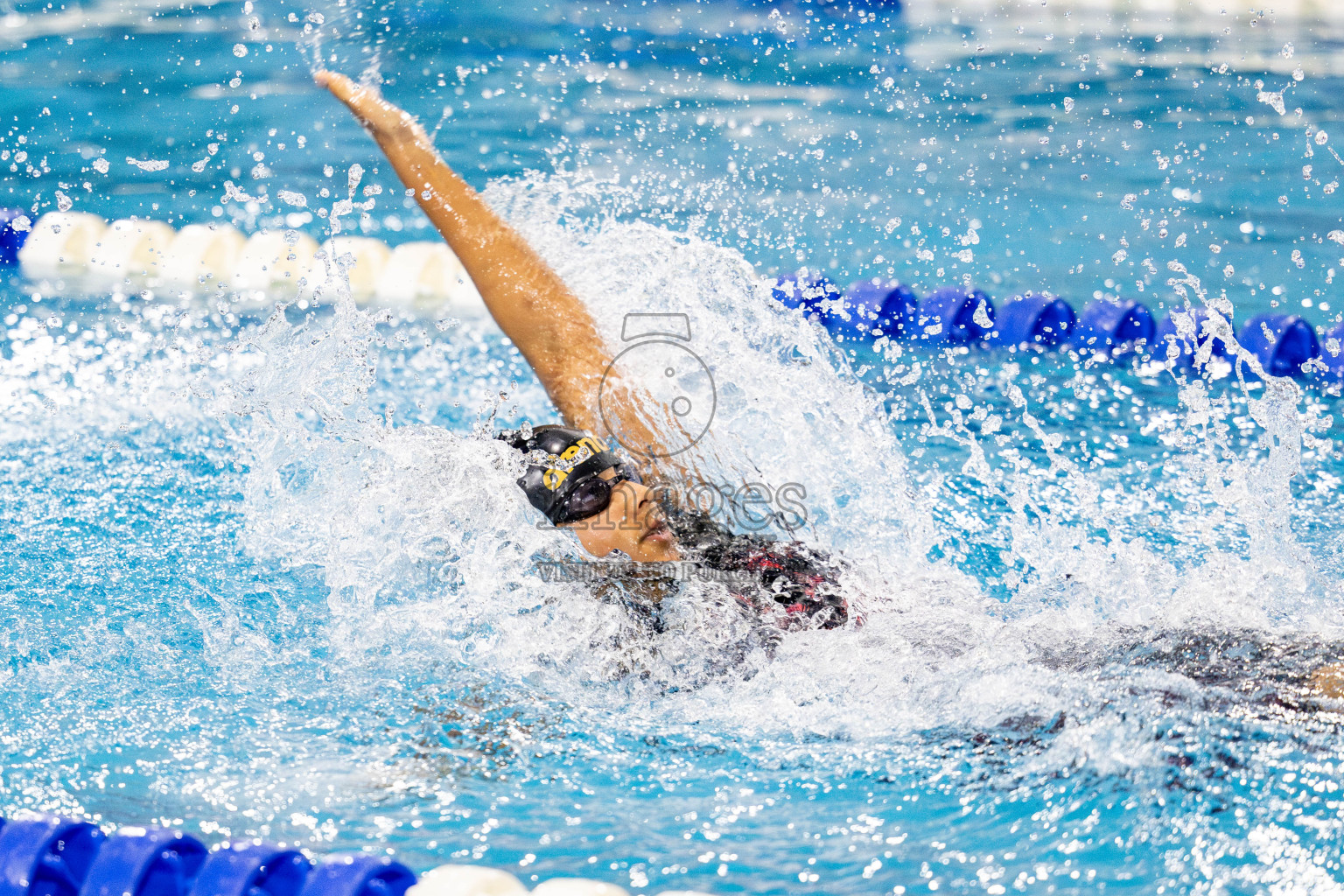 20th Inter-school Swimming Competition 2024 held in Hulhumale', Maldives on Monday, 14th October 2024. 
Photos: Hassan Simah / images.mv