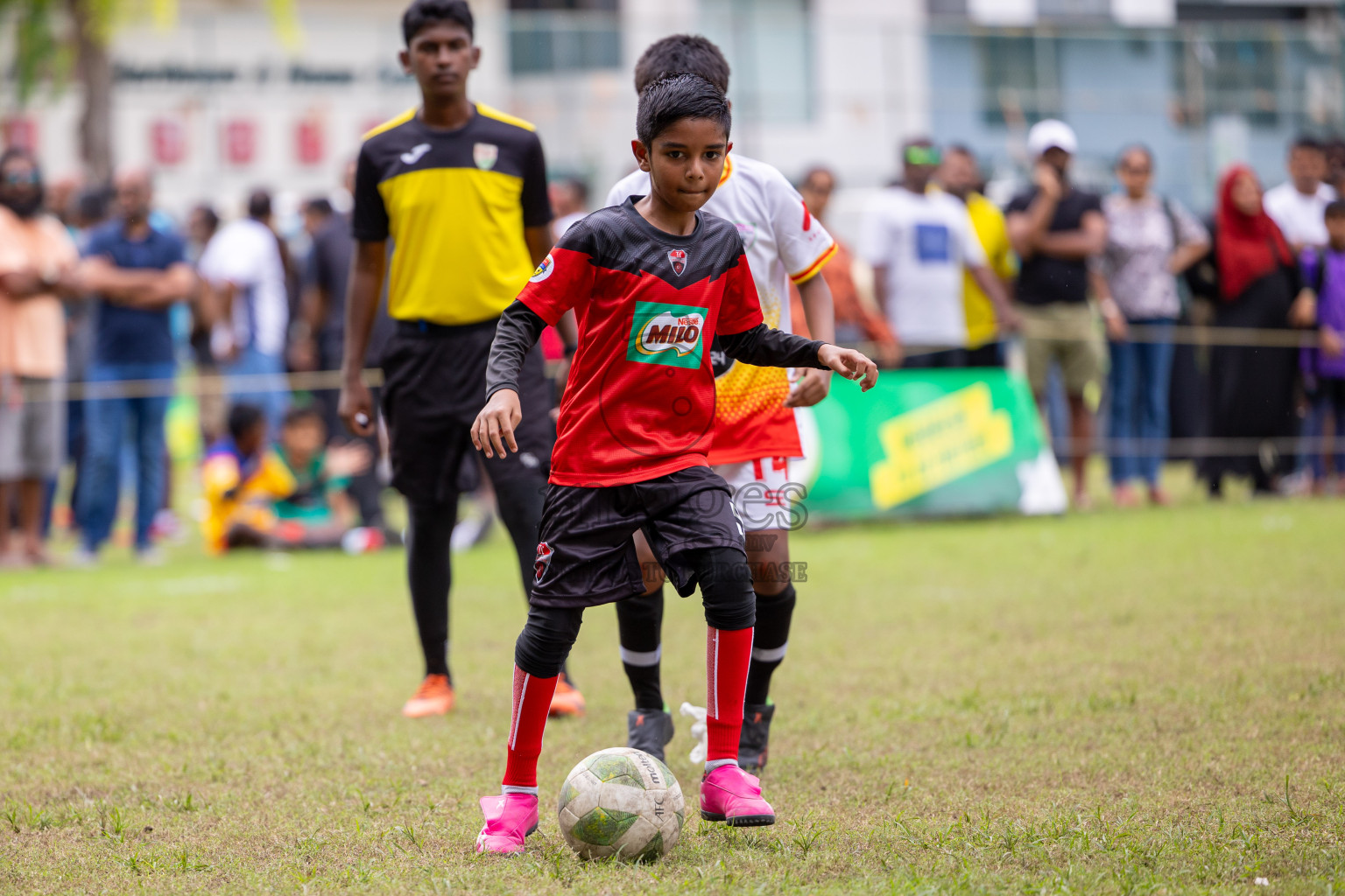 Day 2 of MILO Academy Championship 2024 - U12 was held at Henveiru Grounds in Male', Maldives on Friday, 5th July 2024.
Photos: Ismail Thoriq / images.mv