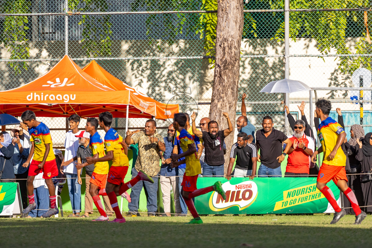 Day 3 of MILO Academy Championship 2024 (U-14) was held in Henveyru Stadium, Male', Maldives on Saturday, 2nd November 2024.
Photos: Ismail Thoriq, Images.mv